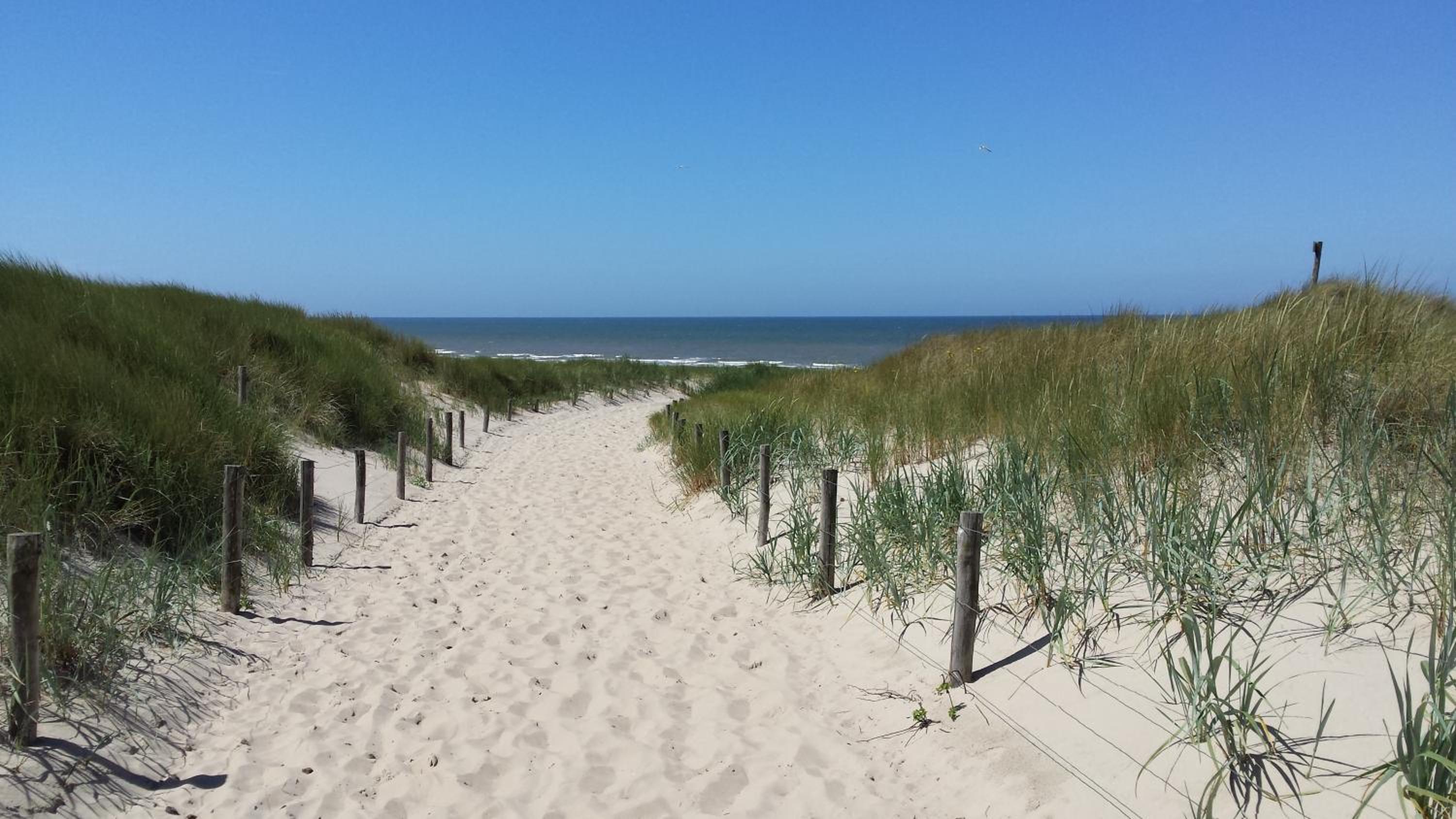 De Hut, in Natuurgebied en vlakbij het Strand view 4
