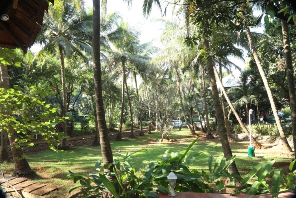 Outpost@Alibaug