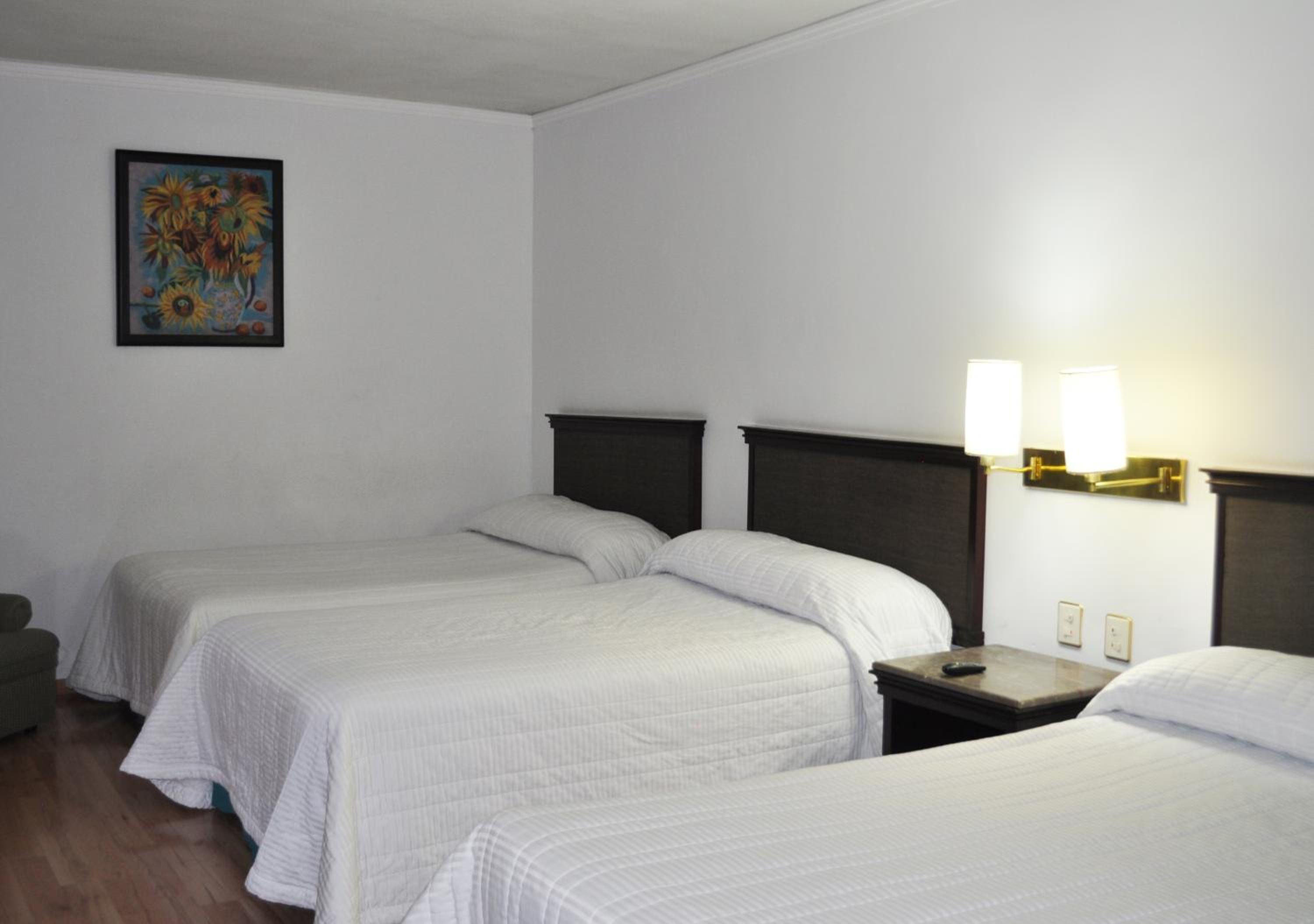 Zacatecas Vacations - Hotel Arroyo de la Plata - Property Image 7