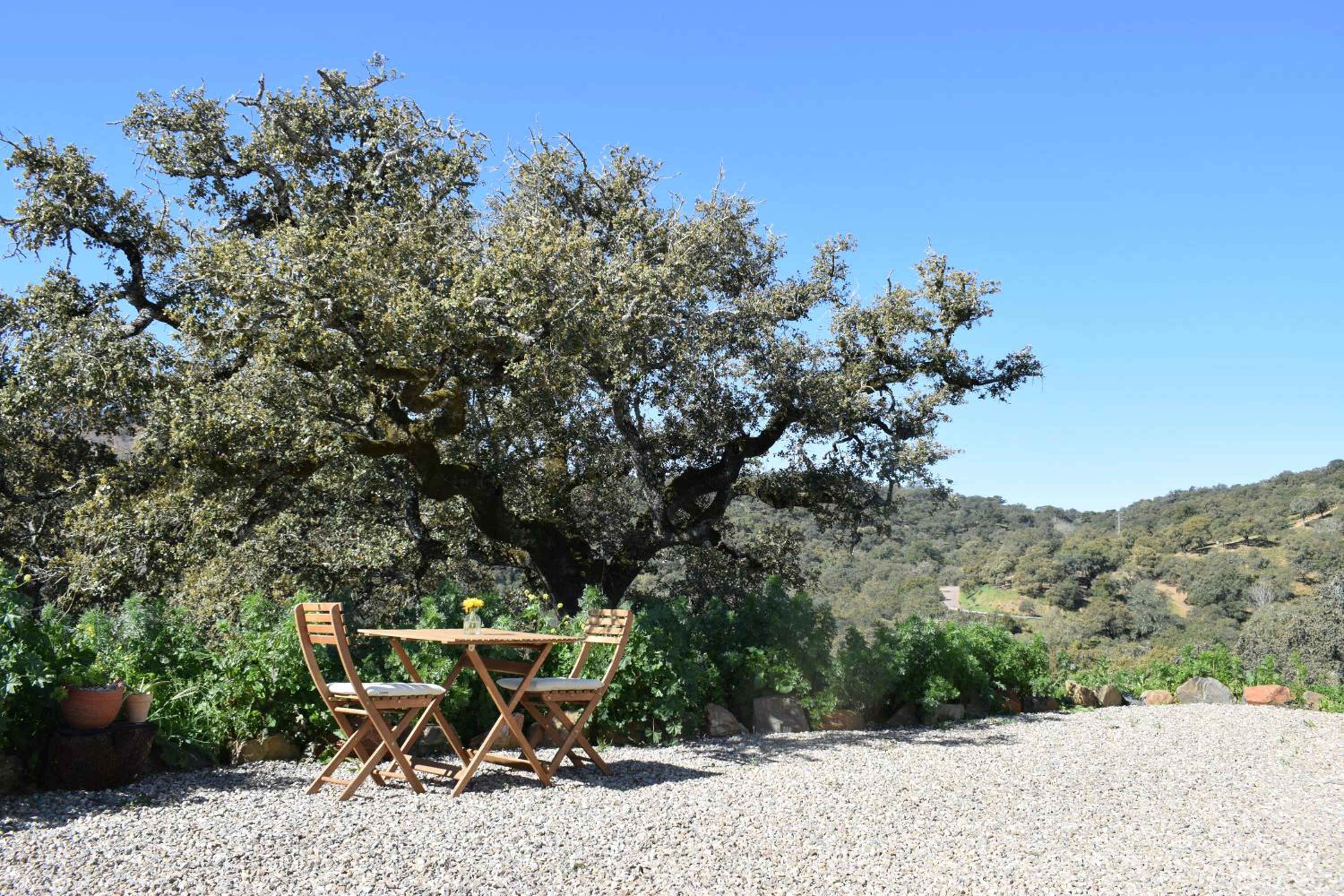 Finca Bravo view 2