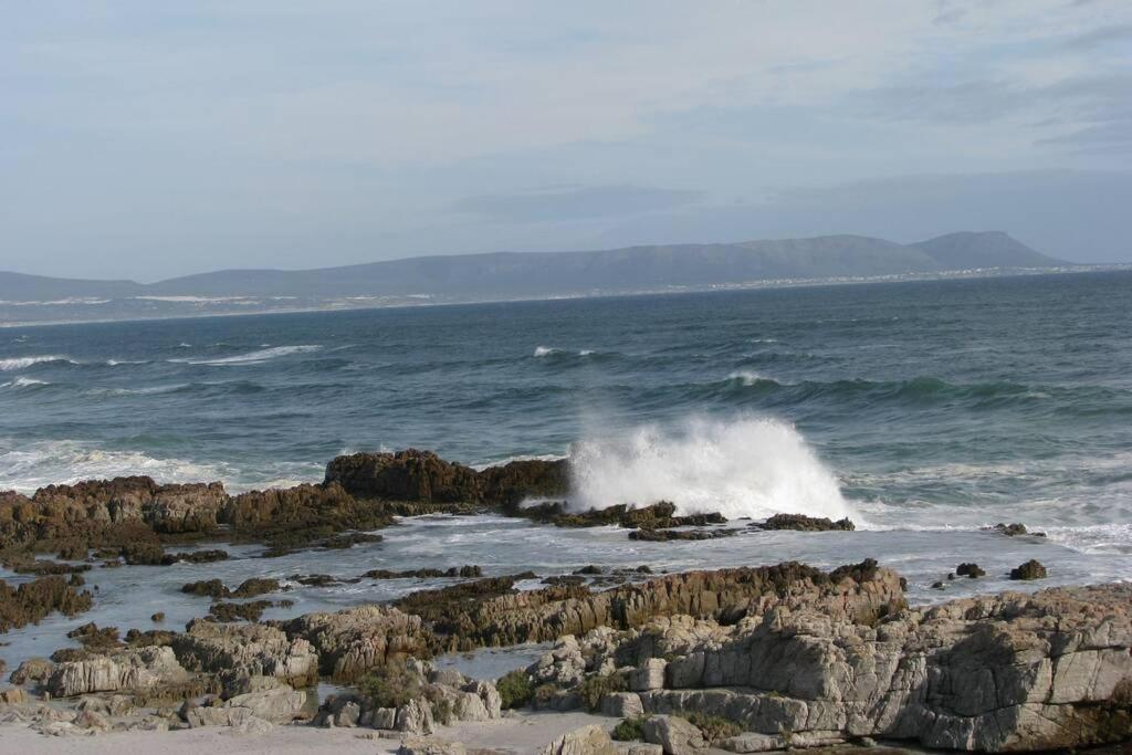 Photo 46
