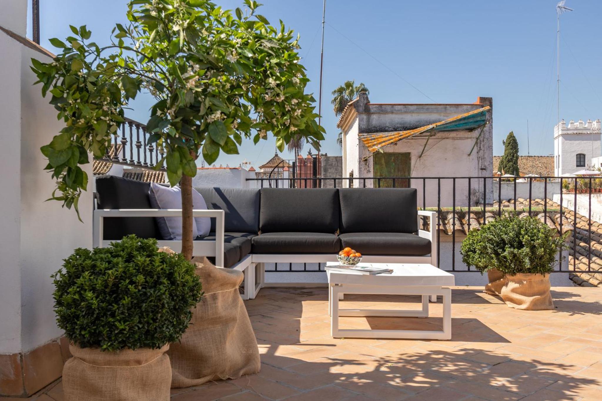 Pimienta 9- Santa Cruz Luxury by Valcambre view 4