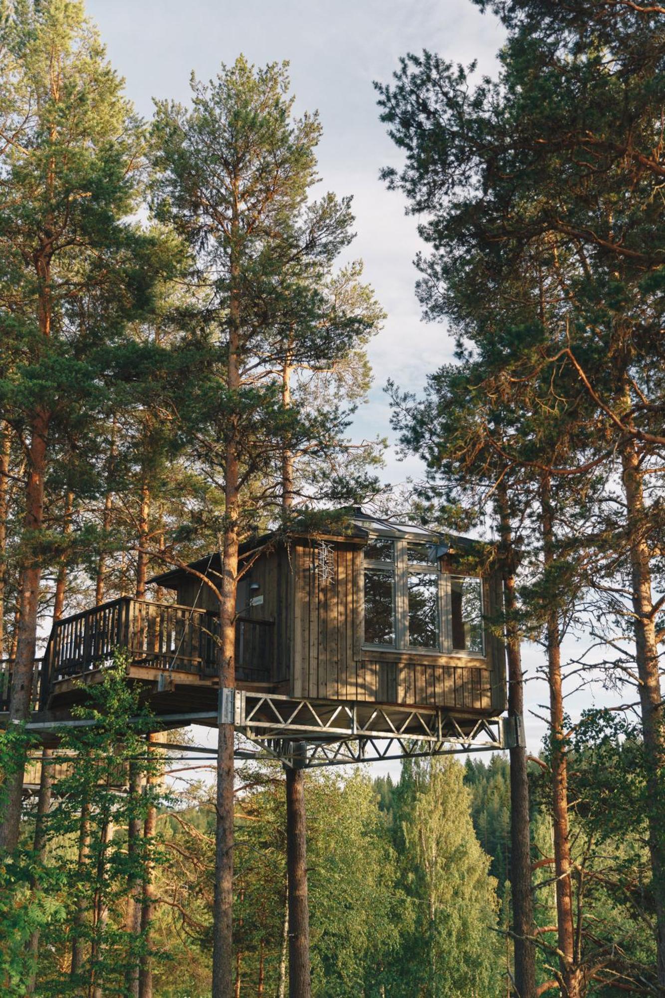 Granö Beckasin