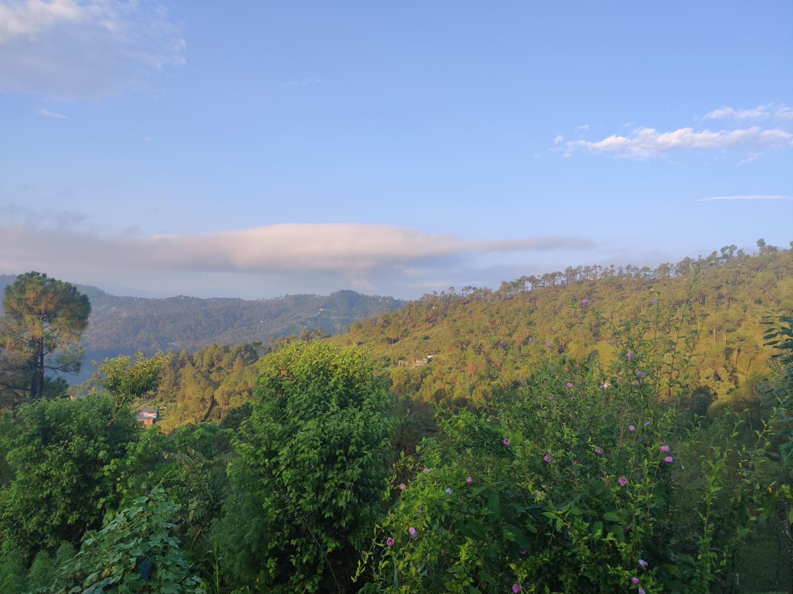 Prakriti's Nest view 4