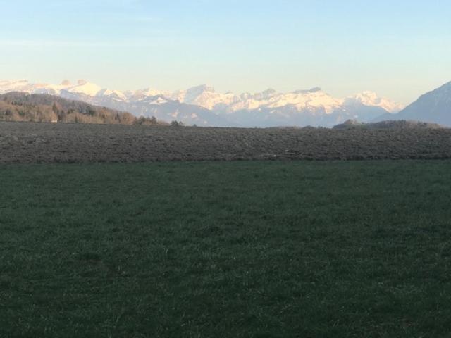 Petite maison à l'orée des bois vue magnifique sur le lac zenitude et plénitude