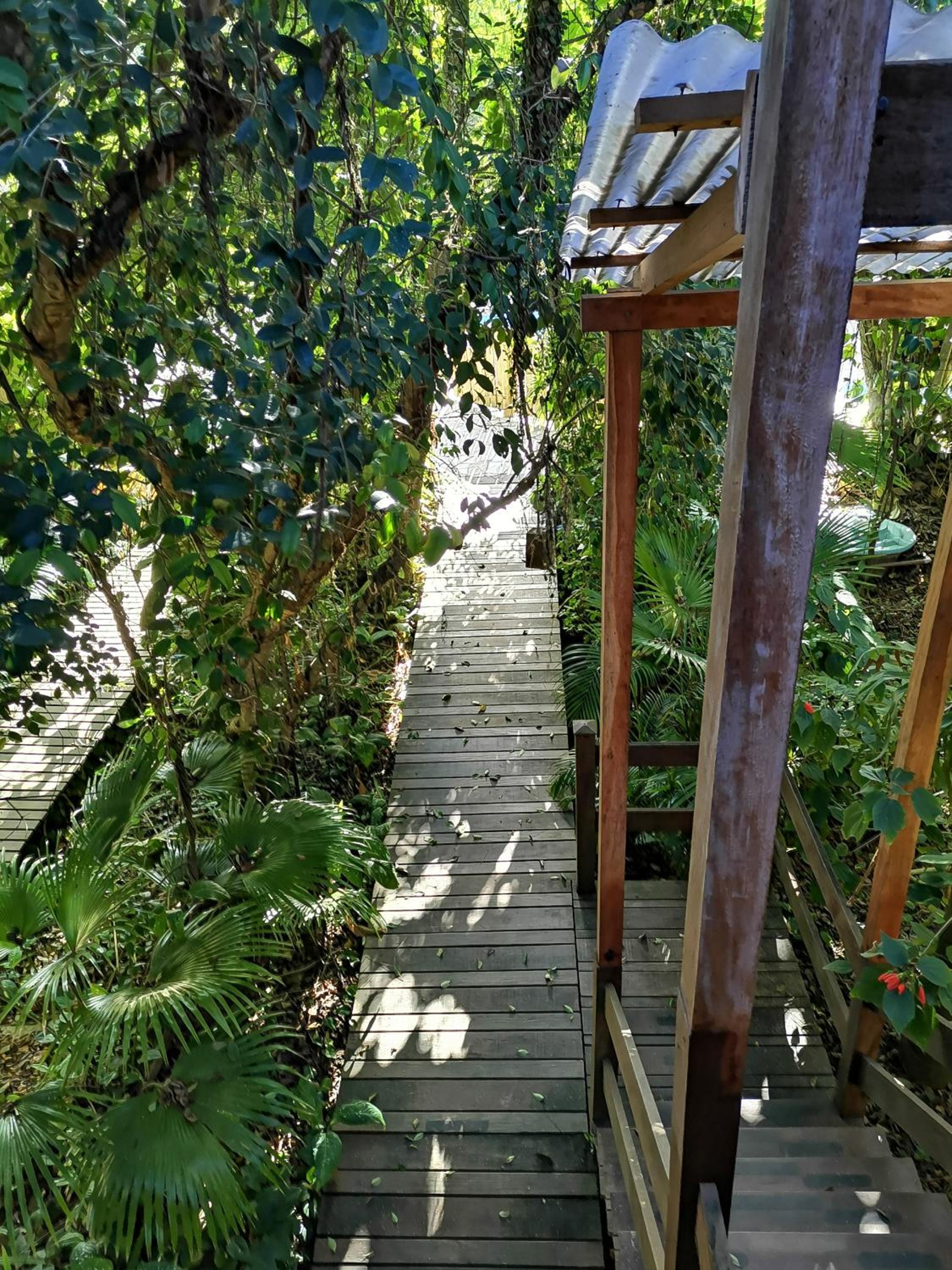 Photo 28