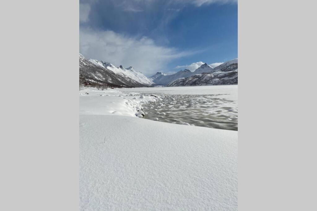 Wilderness House