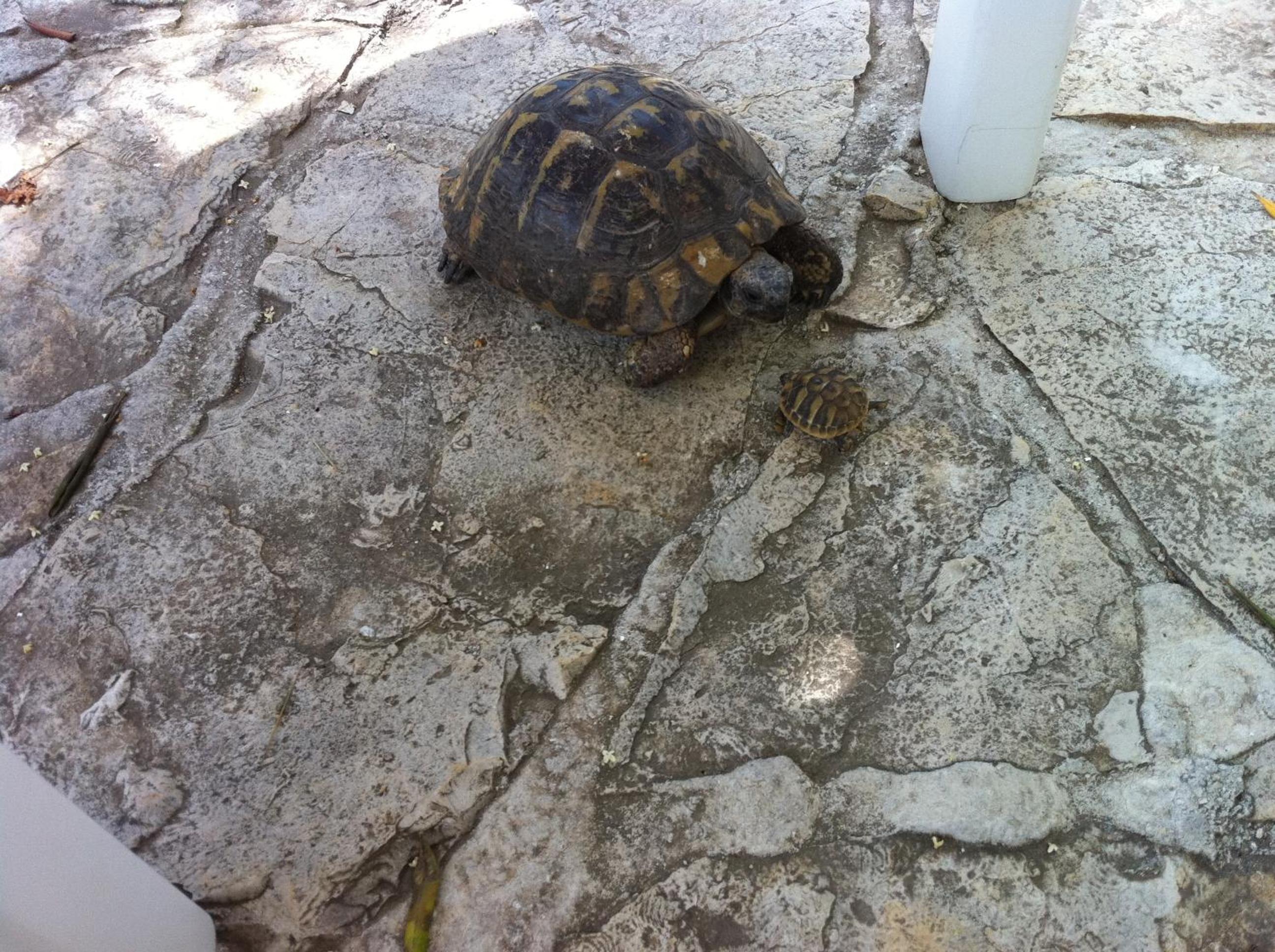 Photo 40