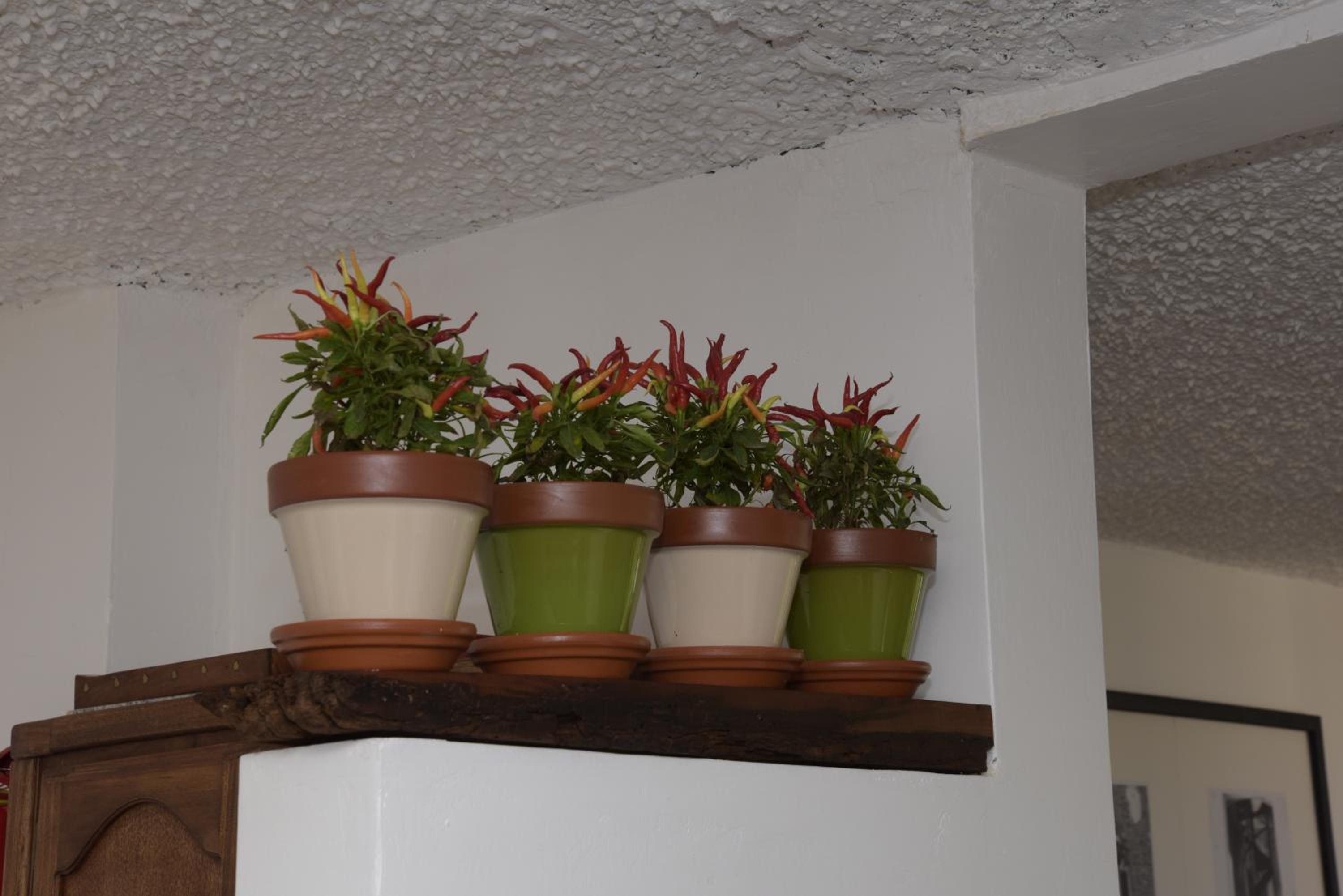 Photo 38