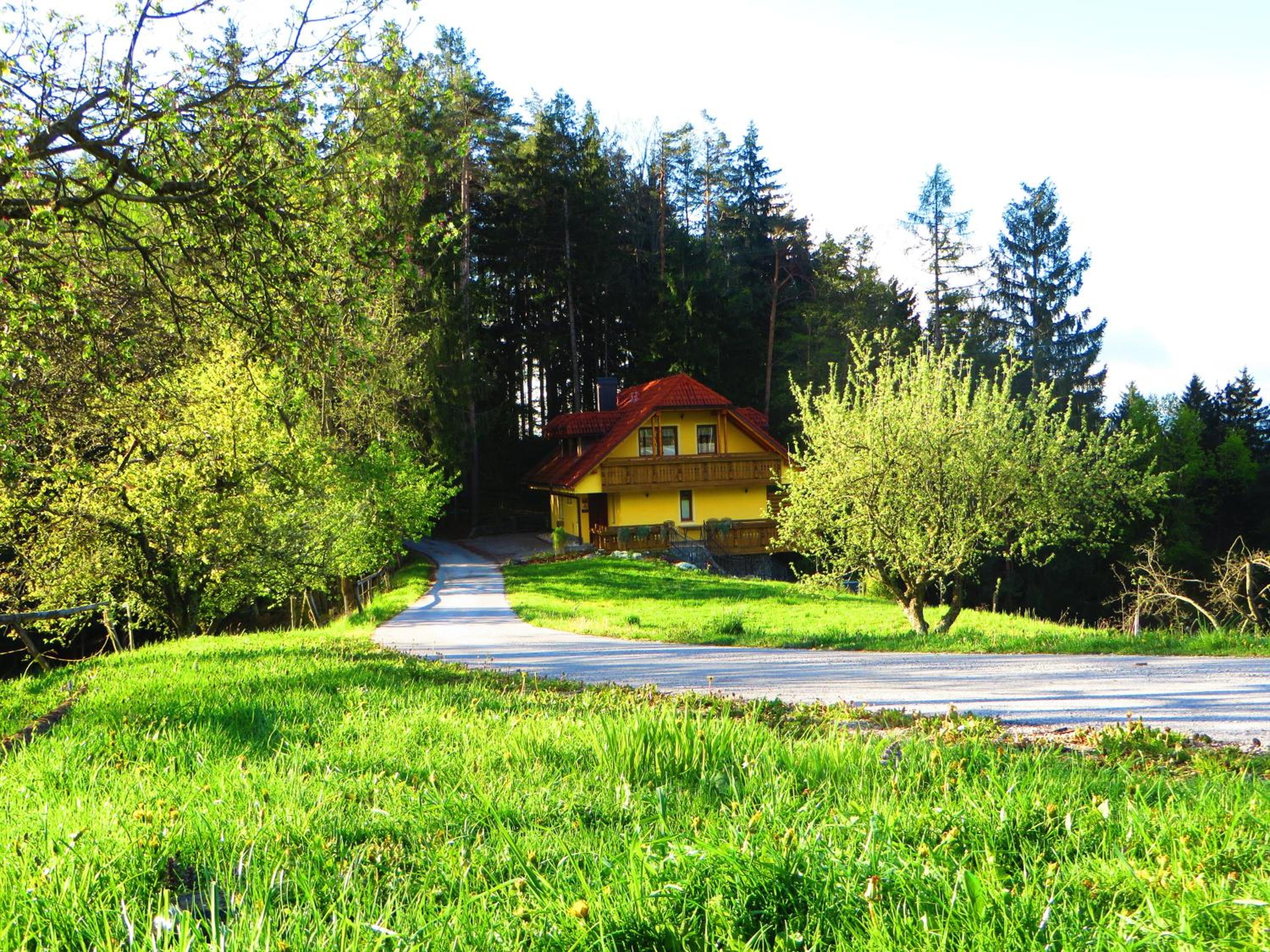 Photo 43