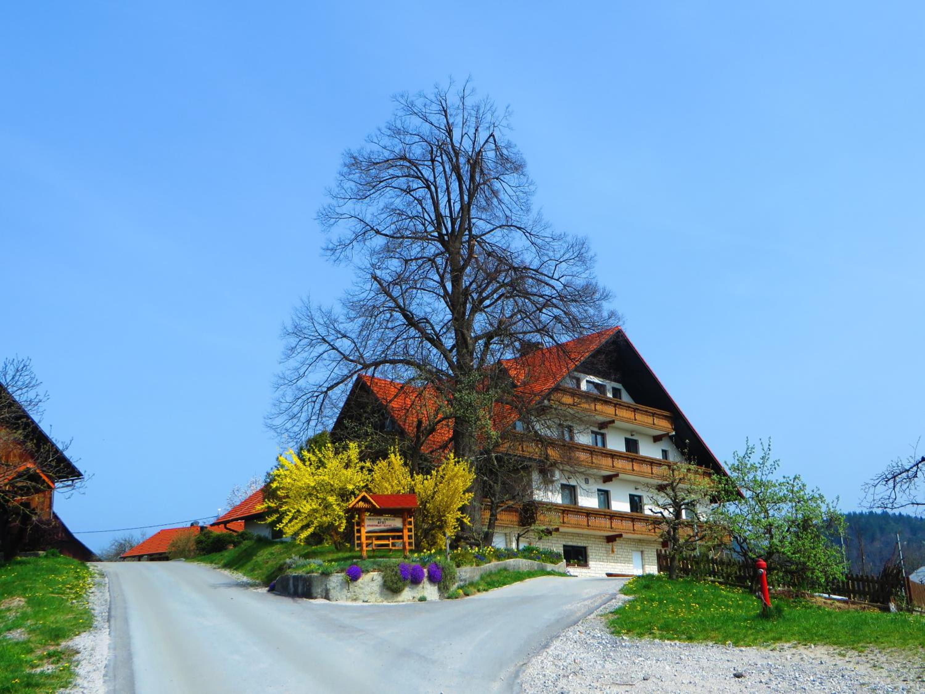 Photo 40