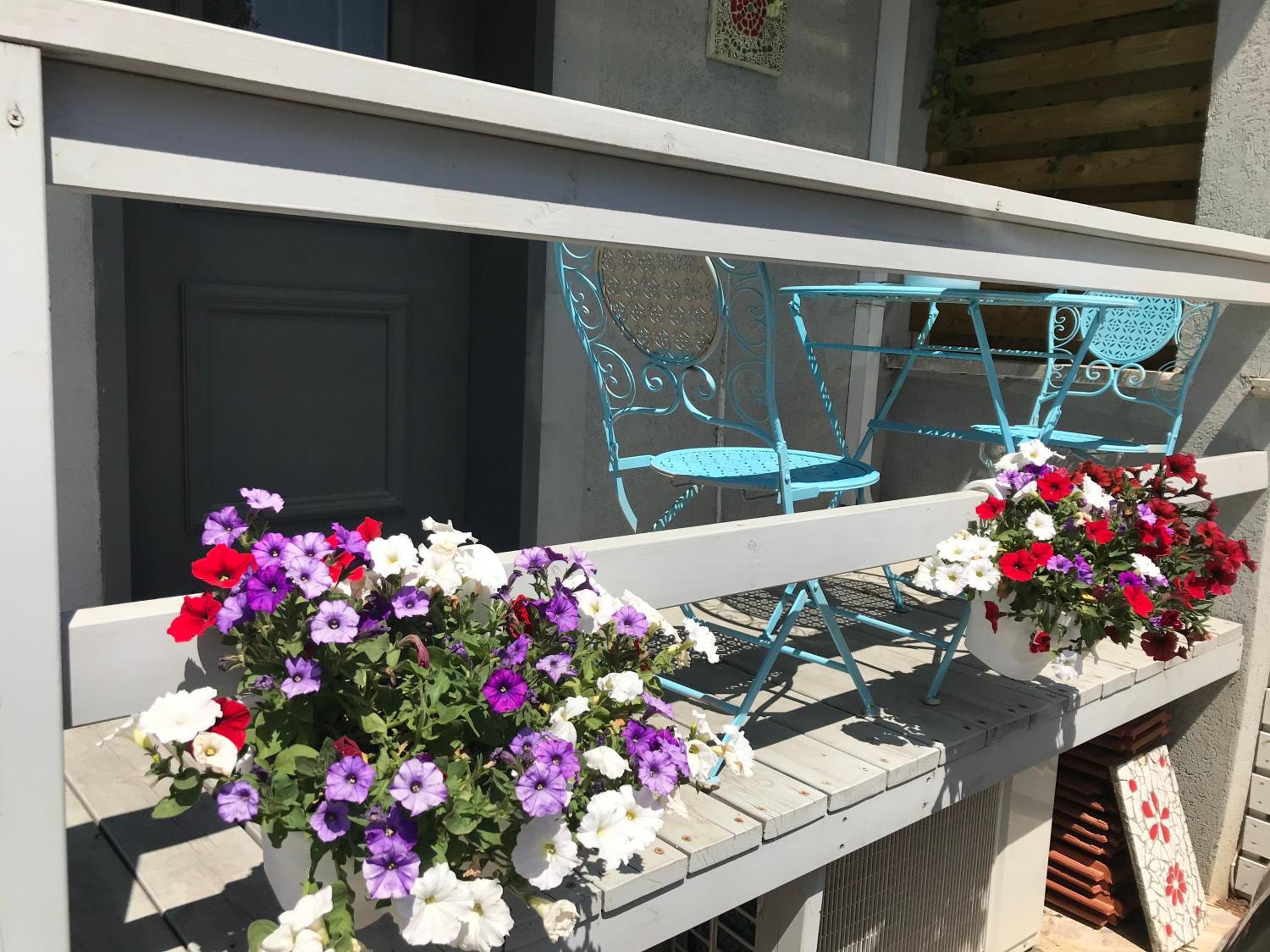 Cute & Cozy Studio Apt in Zichron Yaakov view 3
