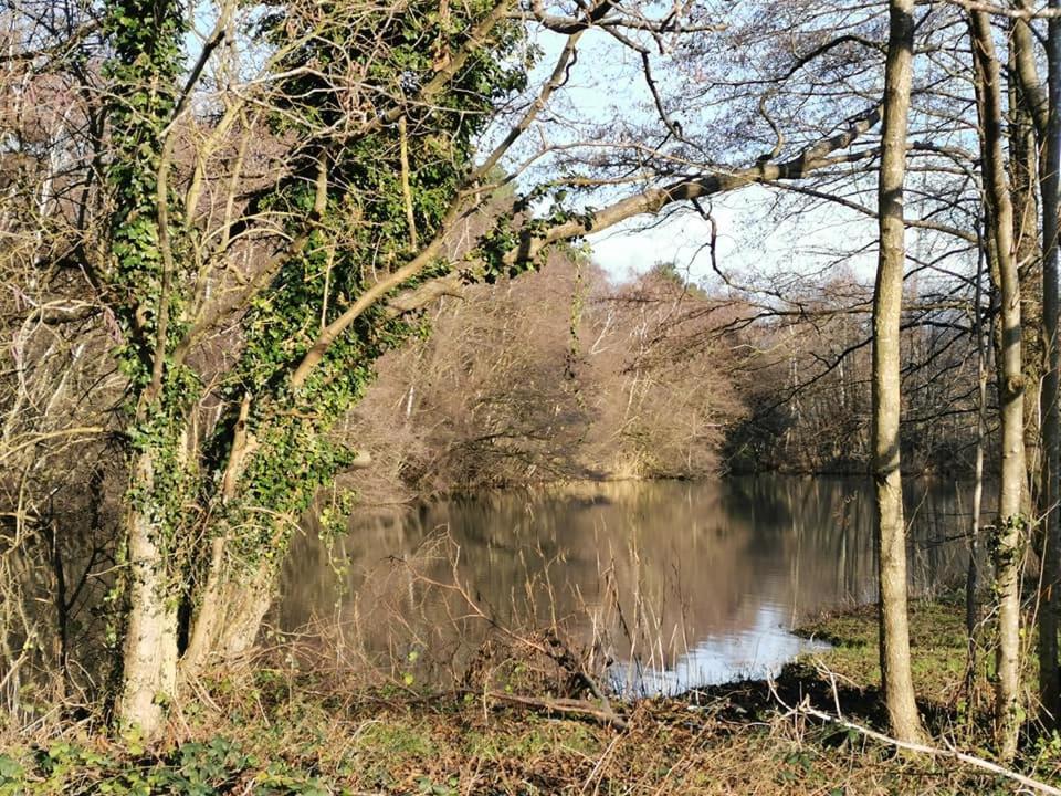 Kings Lynn Vacations - Nuthatch Lodge - Property Image 2