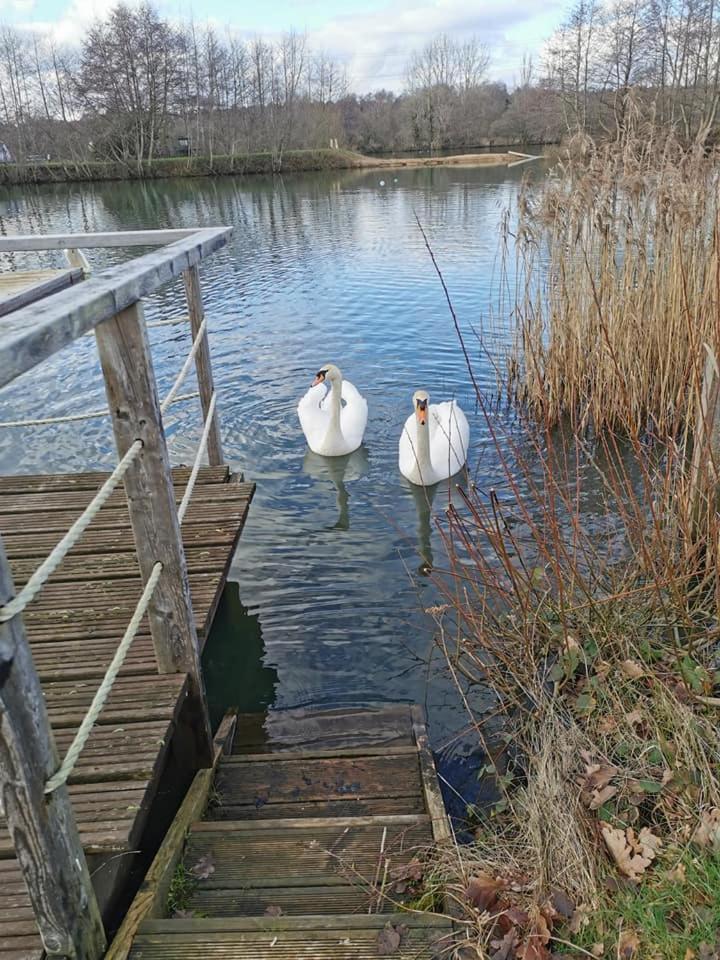 Kings Lynn Vacations - Nuthatch Lodge - Property Image 9