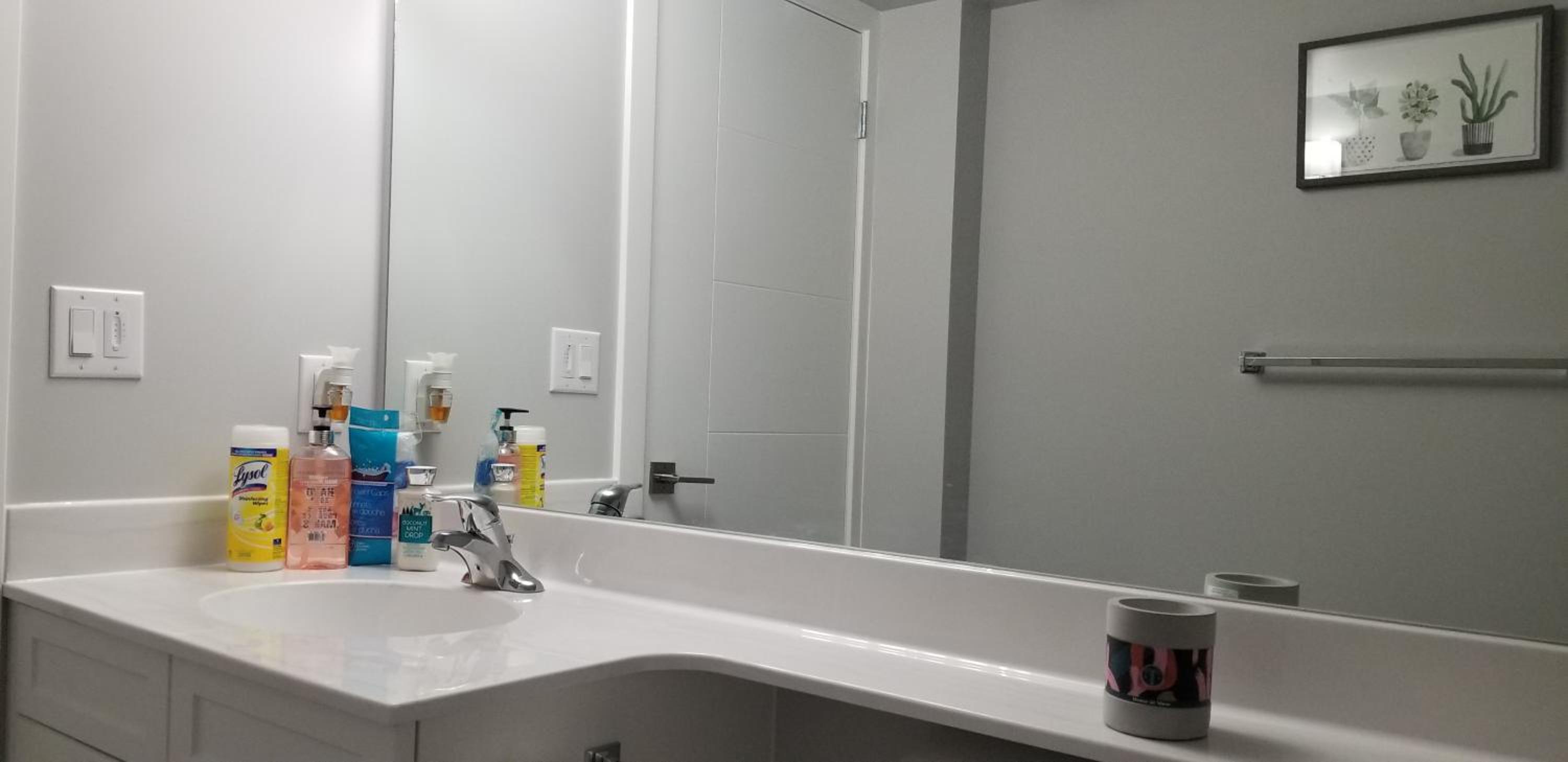 Luxurious 2 bedroom basement suite