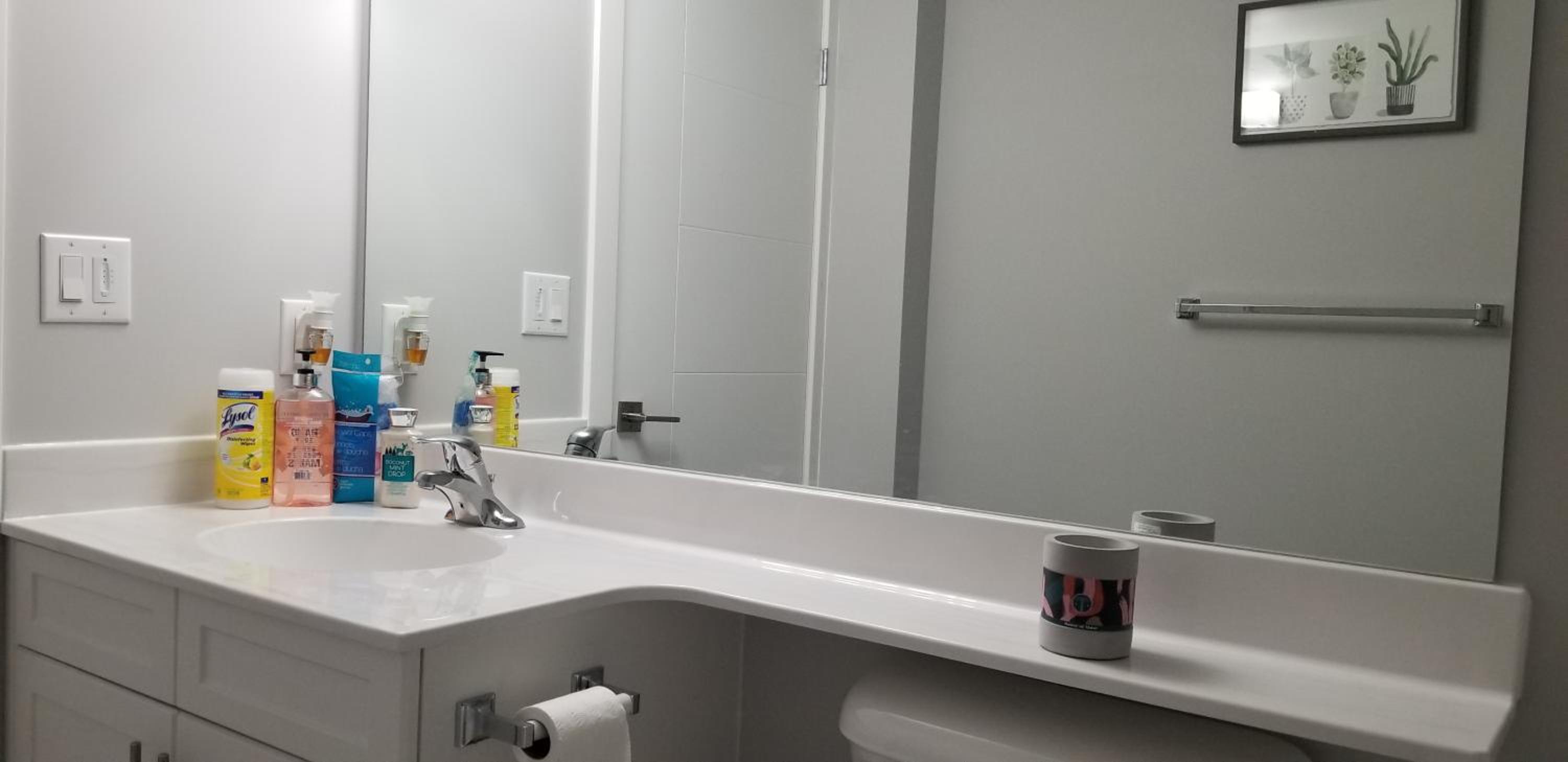 Luxurious 2 bedroom basement suite