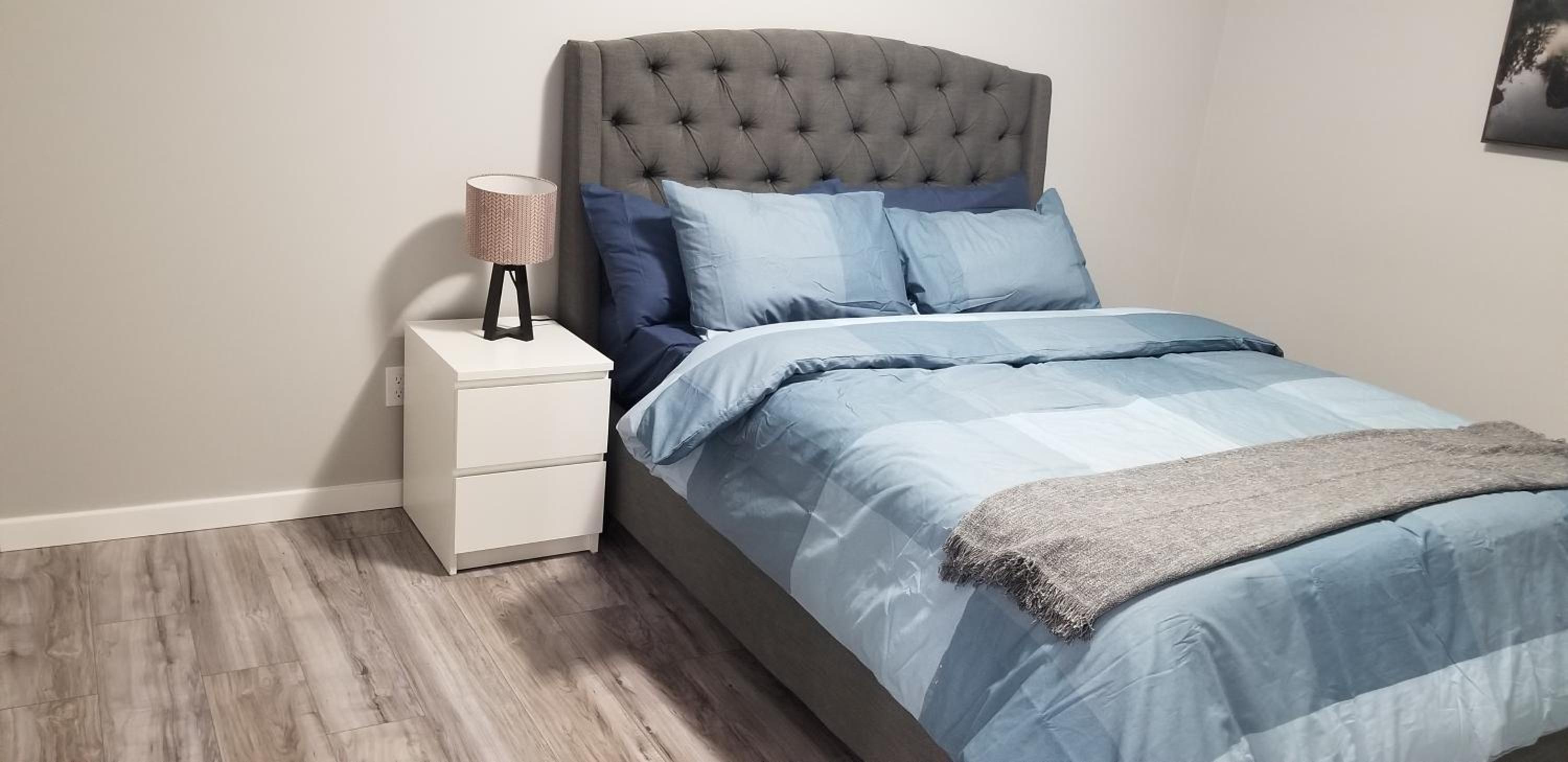 Luxurious 2 bedroom basement suite