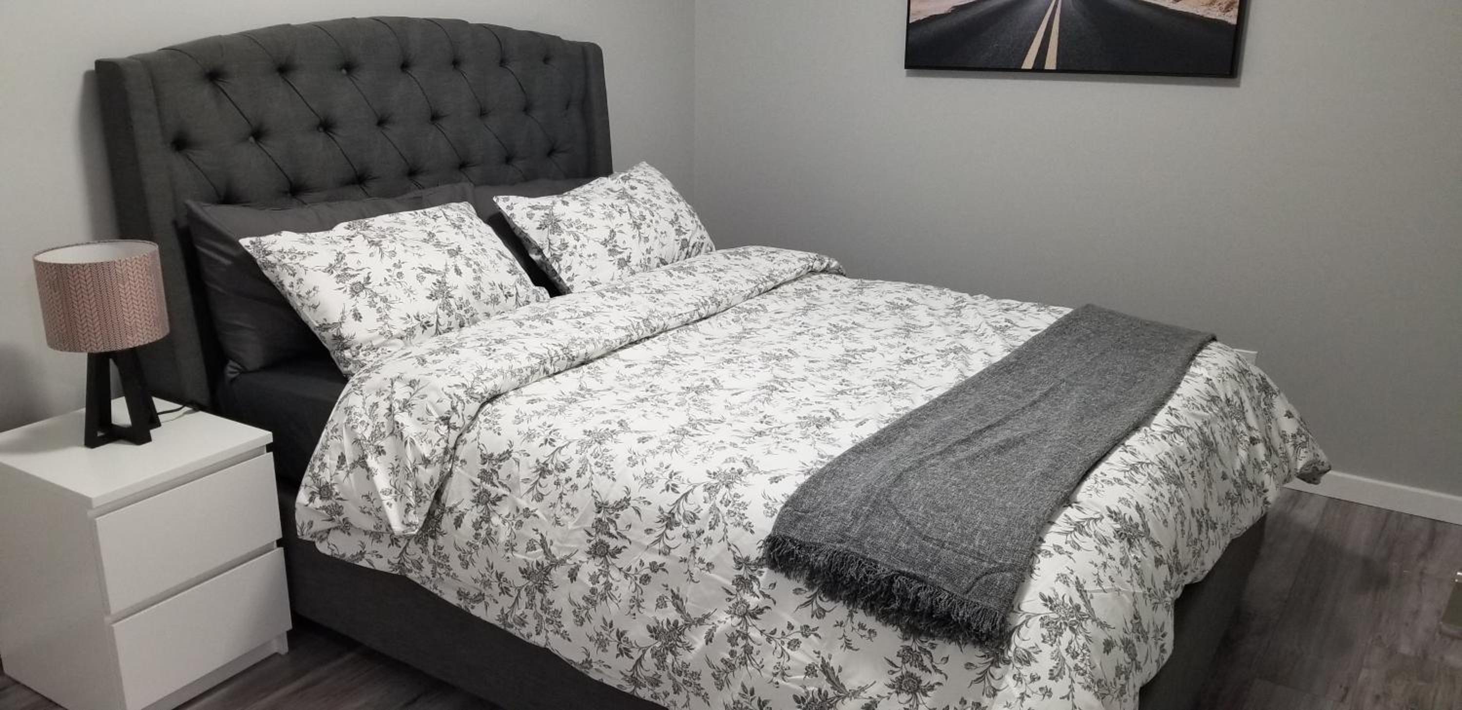 Luxurious 2 bedroom basement suite