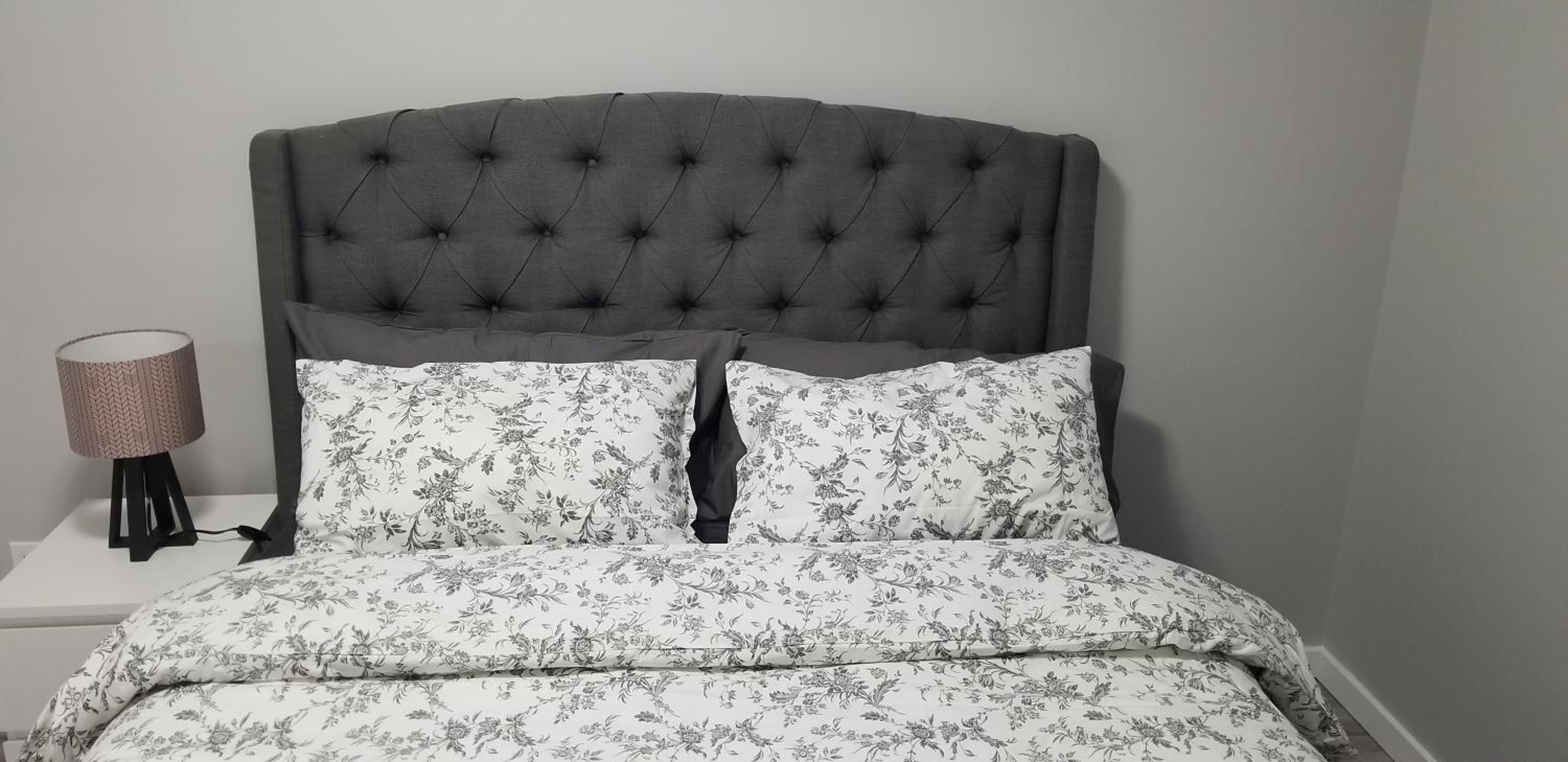 Luxurious 2 bedroom basement suite