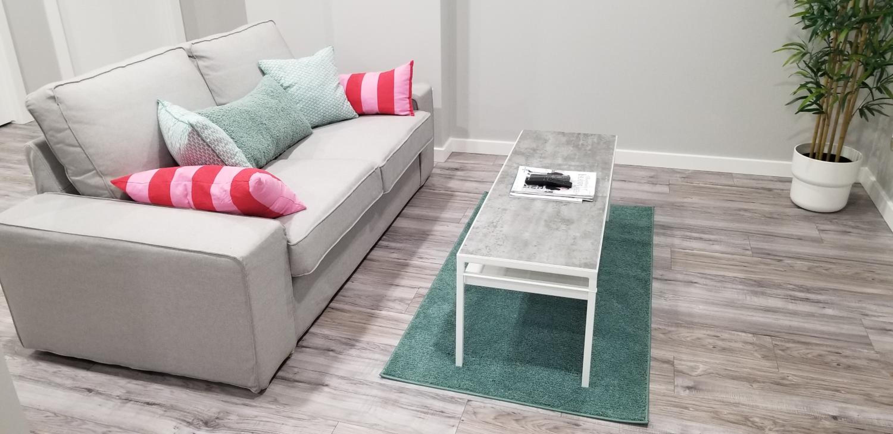 Luxurious 2 bedroom basement suite