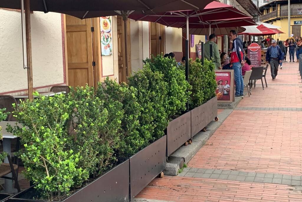 Apartamento zona colonial lindísimo 202