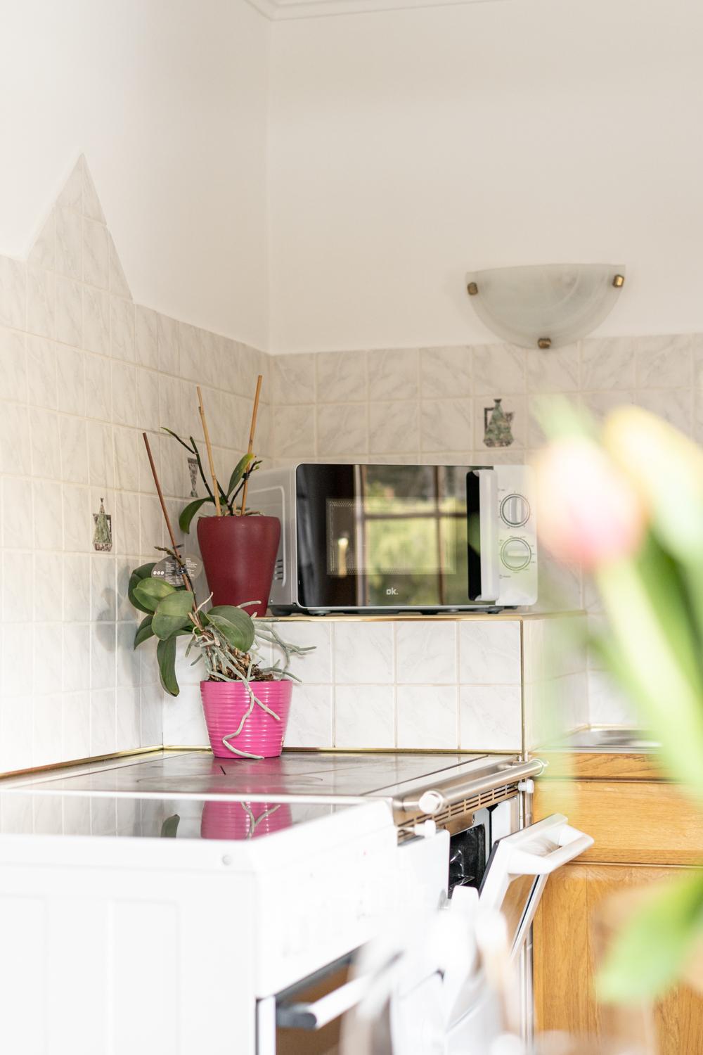 Chalet Taurachblick