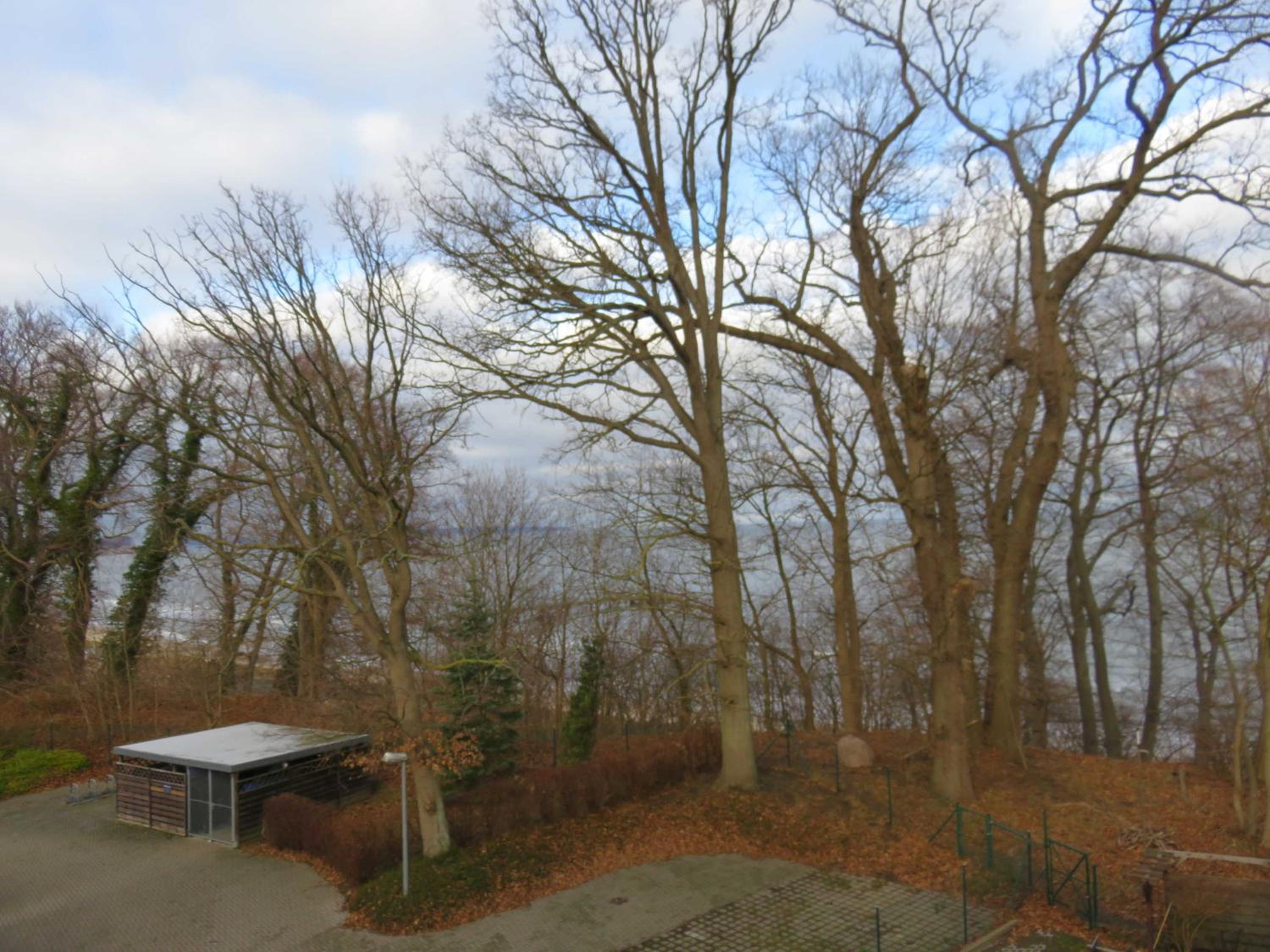 Haus Borgwardt Ferienwohnung 45495