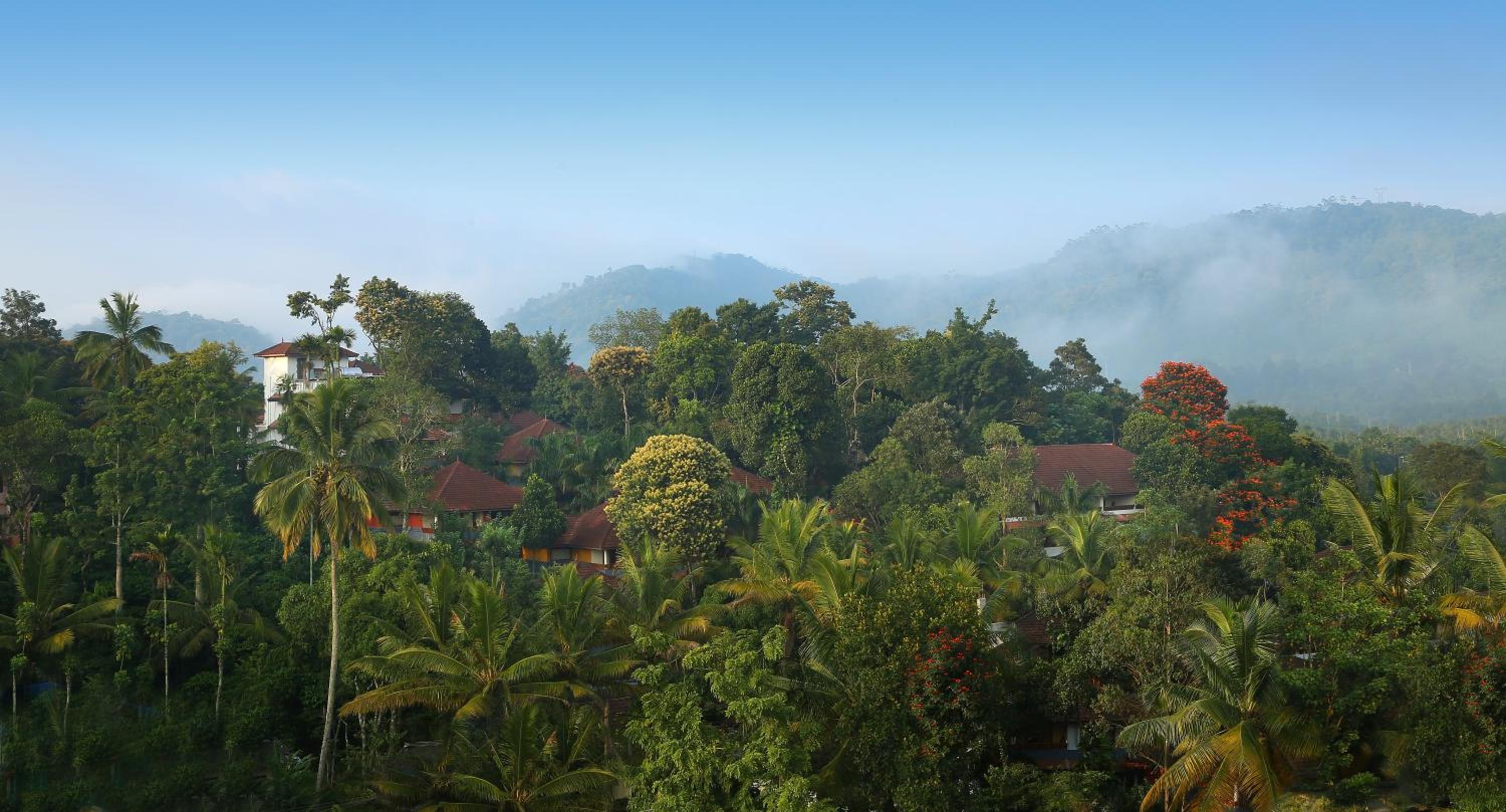 Thekkady Vacations - Elephant Court Thekkady - Property Image 29