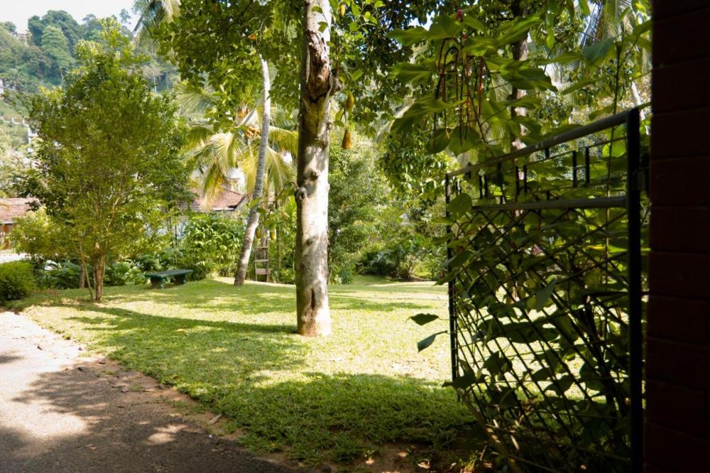 Clove Garden Kandy view 2