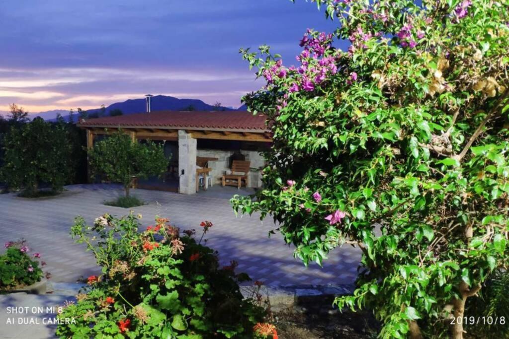 Stonehouse Olivelia - Afrathias Beach view 5