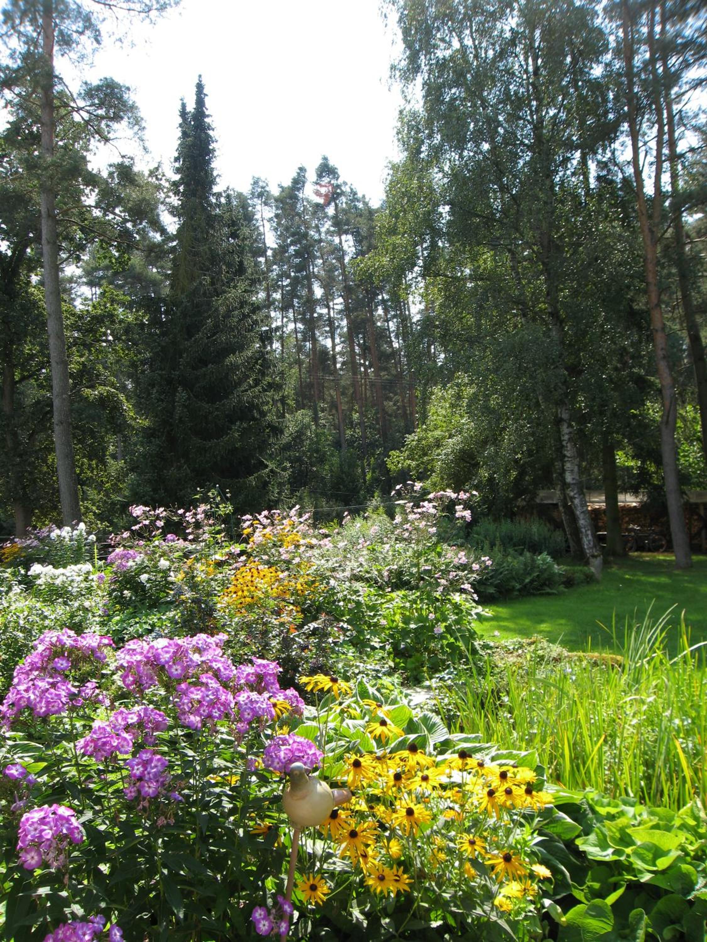 Photo 27