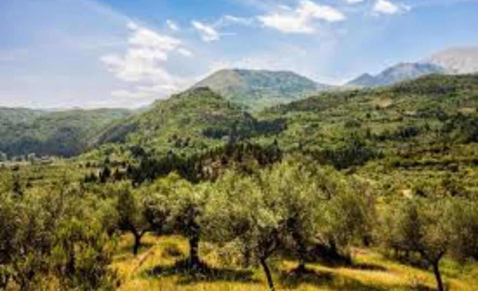 Mystras Inn view 5