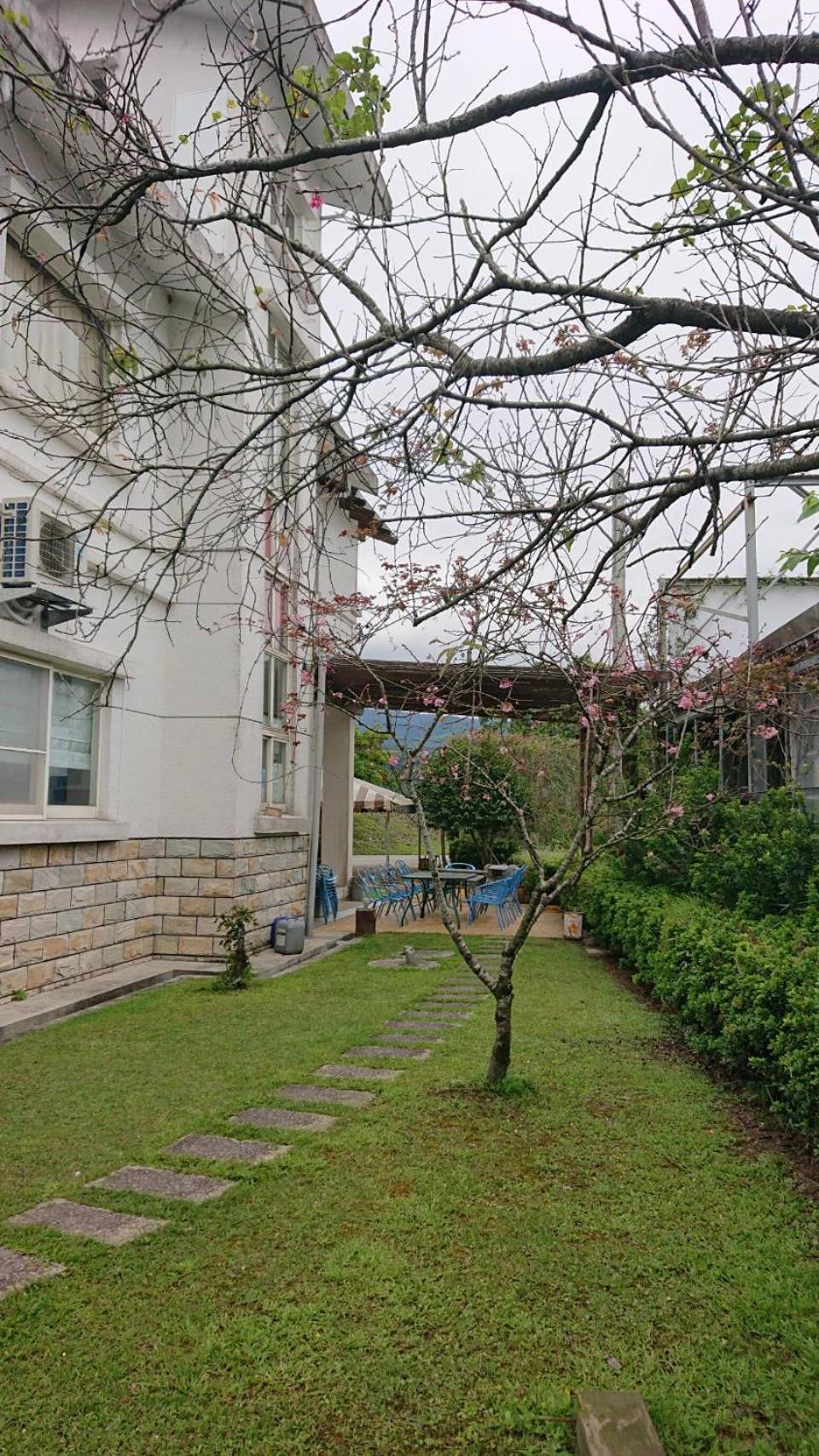 Star House