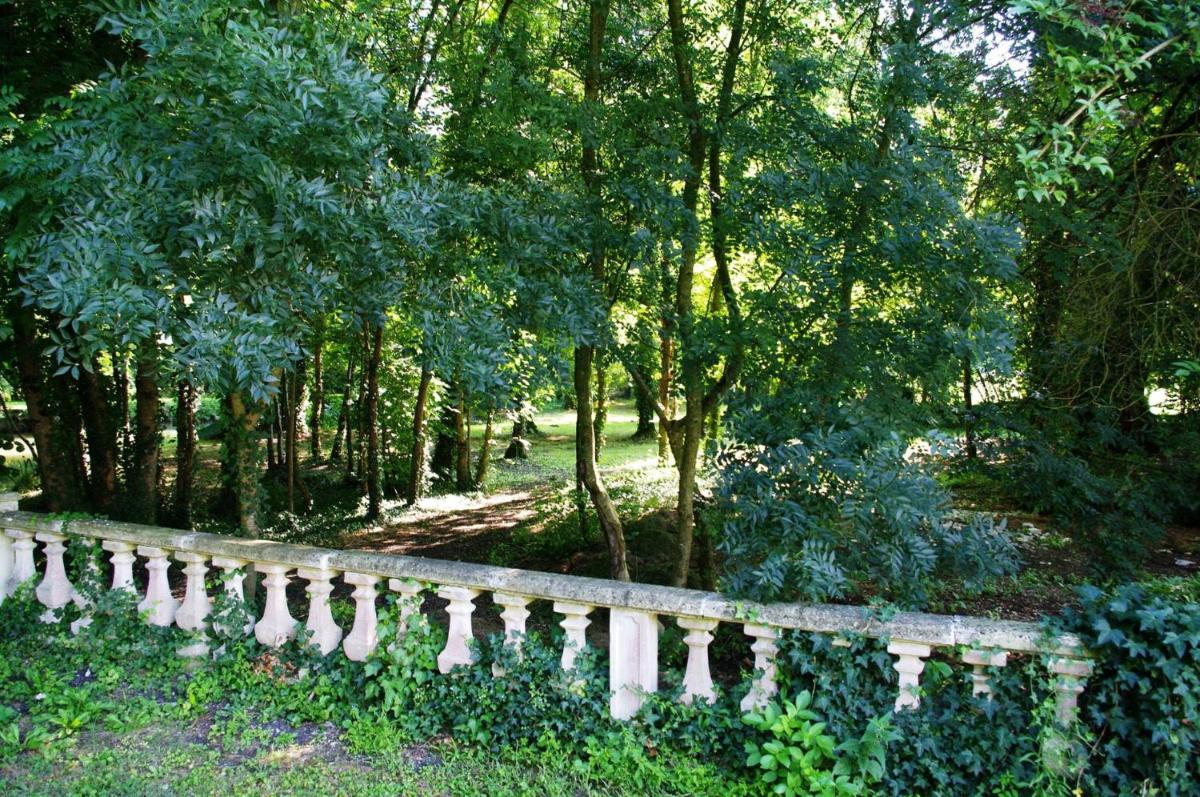 Photo 45
