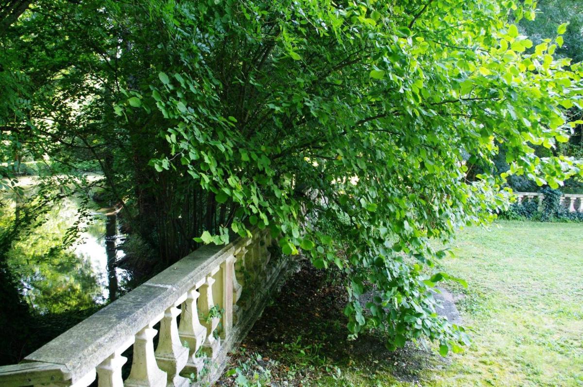 Photo 43
