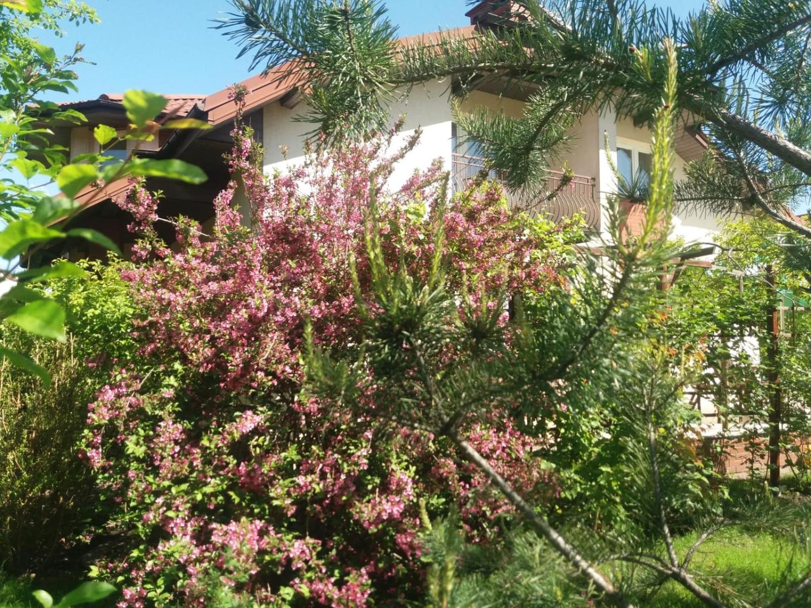 Photo 24