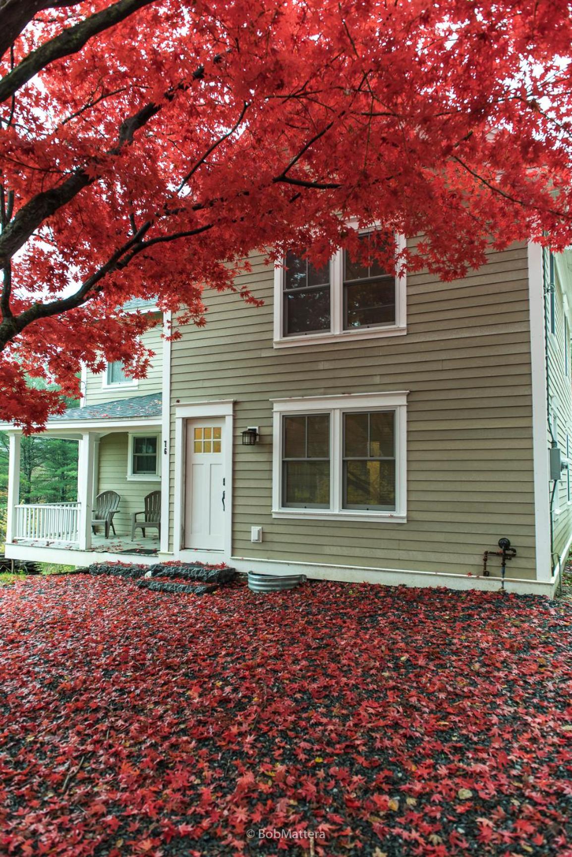 Restored 1881 Farm House