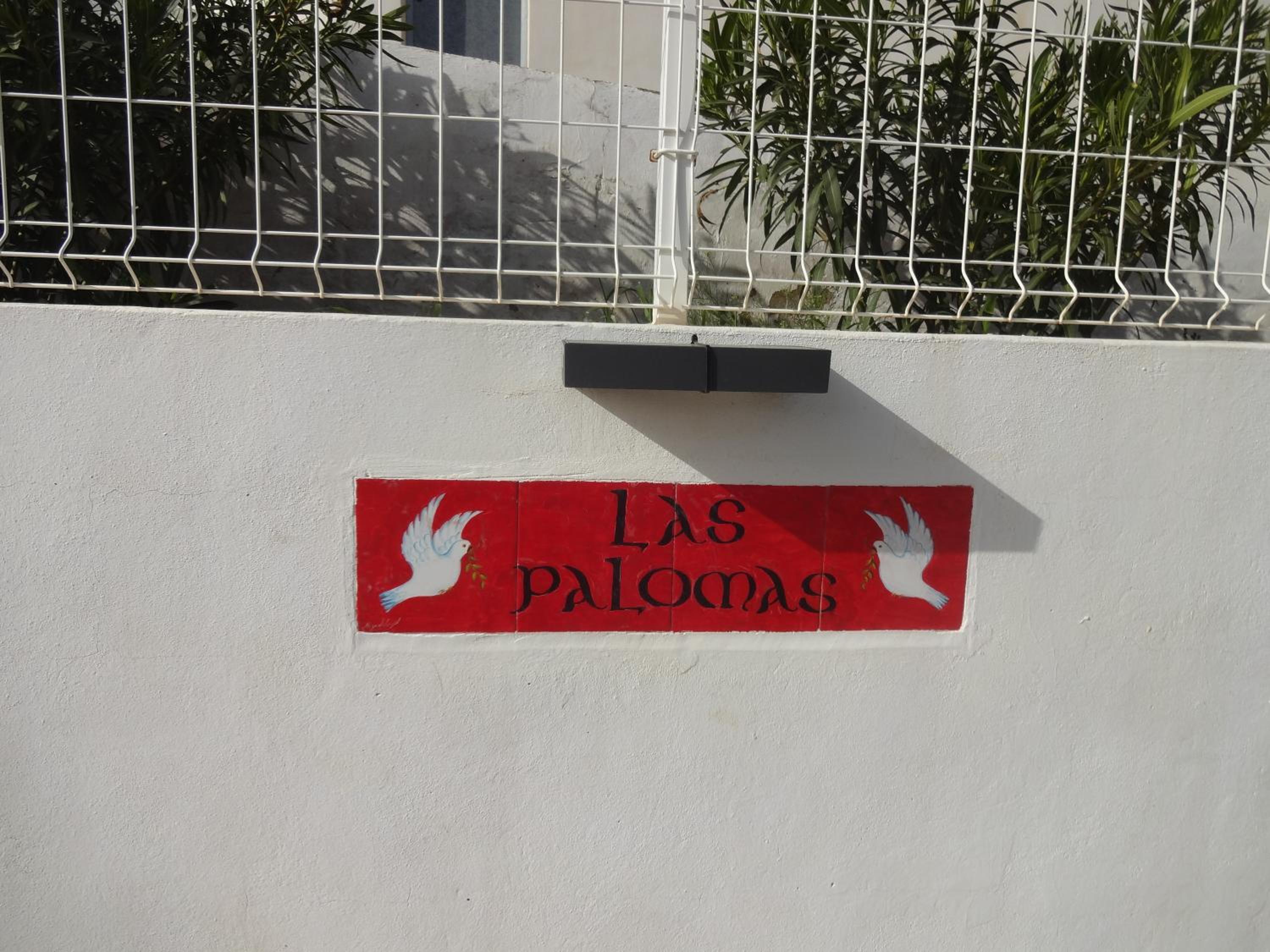 Photo 47