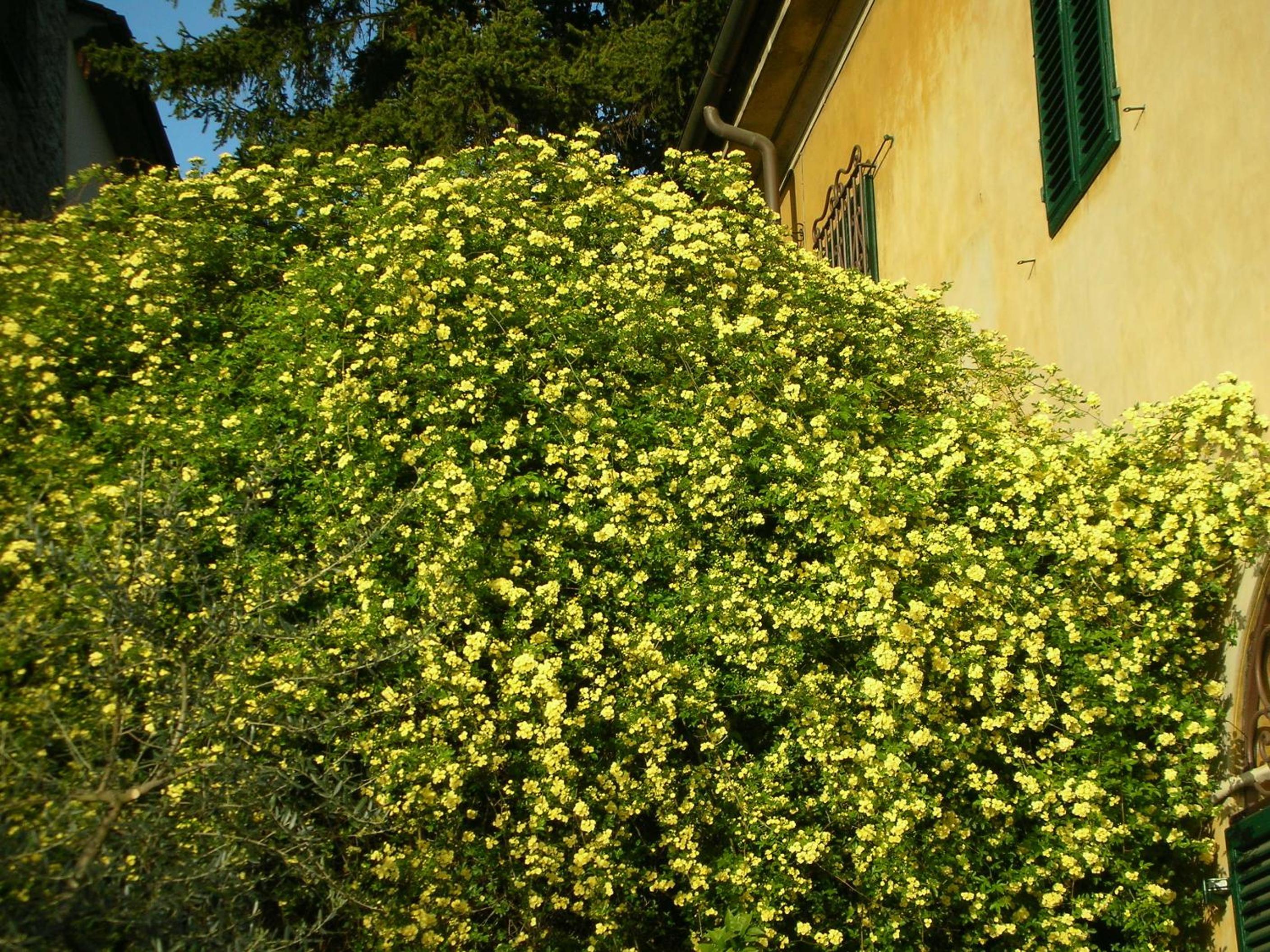 Photo 58
