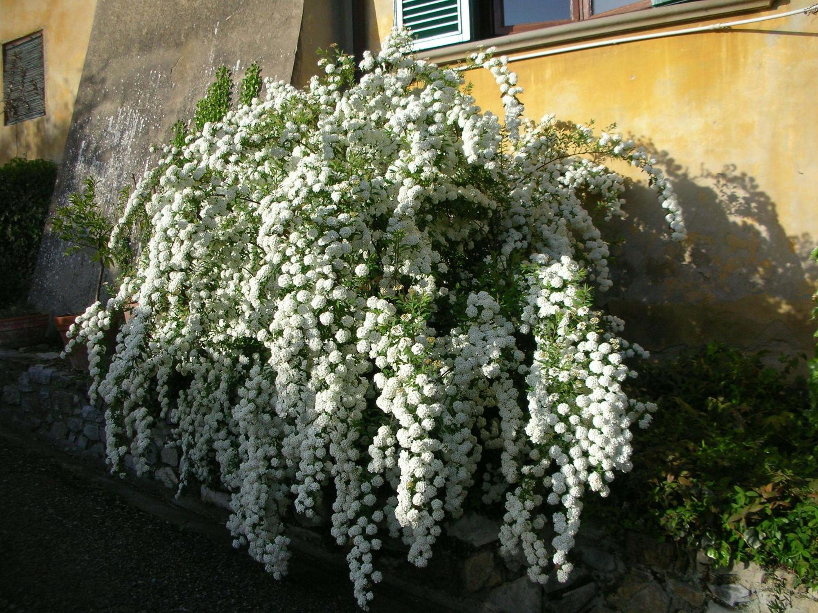 Photo 57