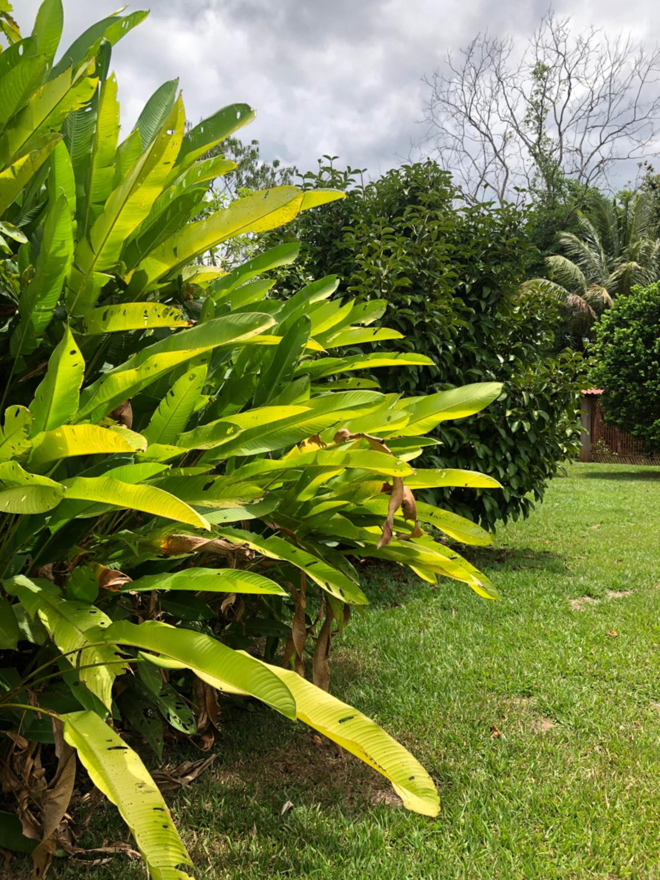 Hospedaje Adrimaran