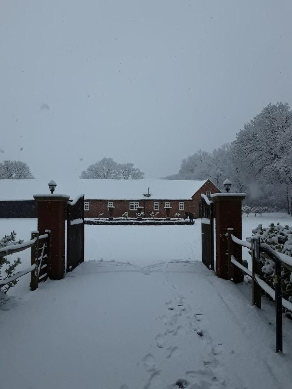 Guildford Vacations - Whitmoor Farm - Property Image 46