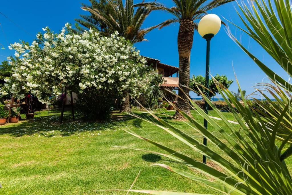 Hotel Effie Beach Front Apartment with Pool - Image 1