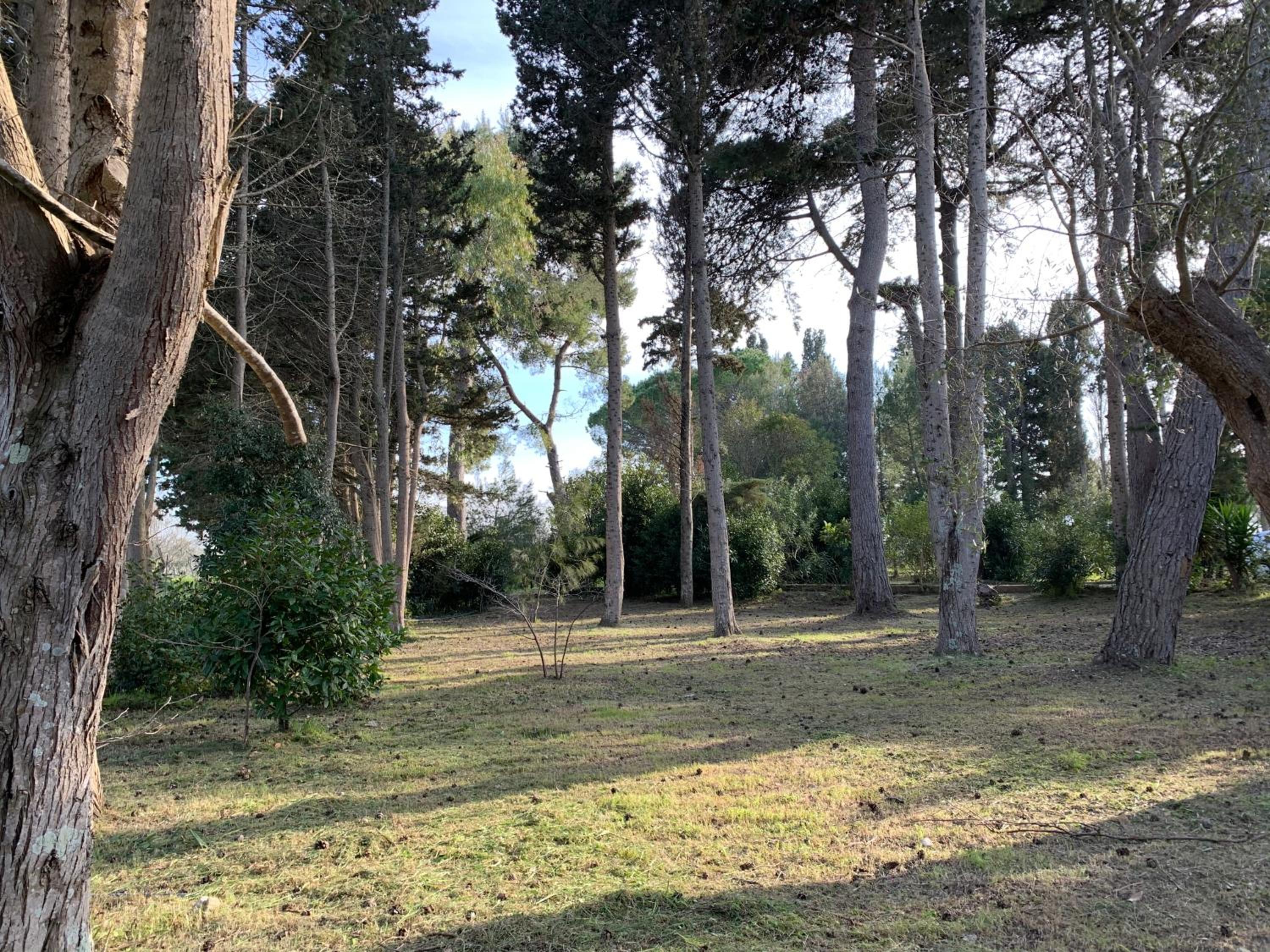 Photo 45