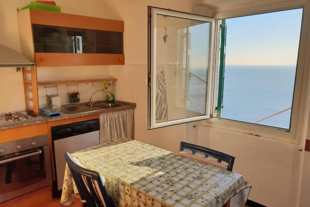 Pace tra gli ulivi e il mare view 5