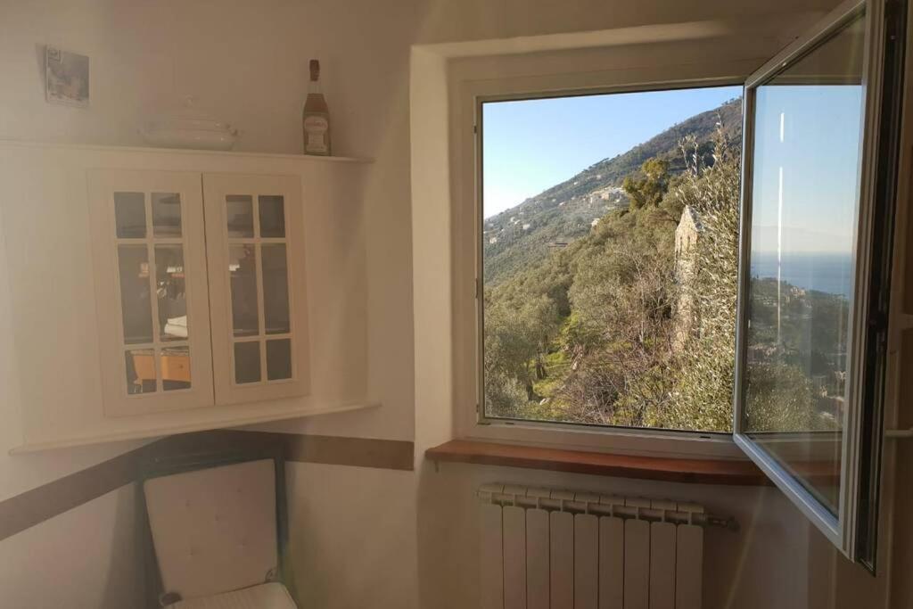 Pace tra gli ulivi e il mare view 4