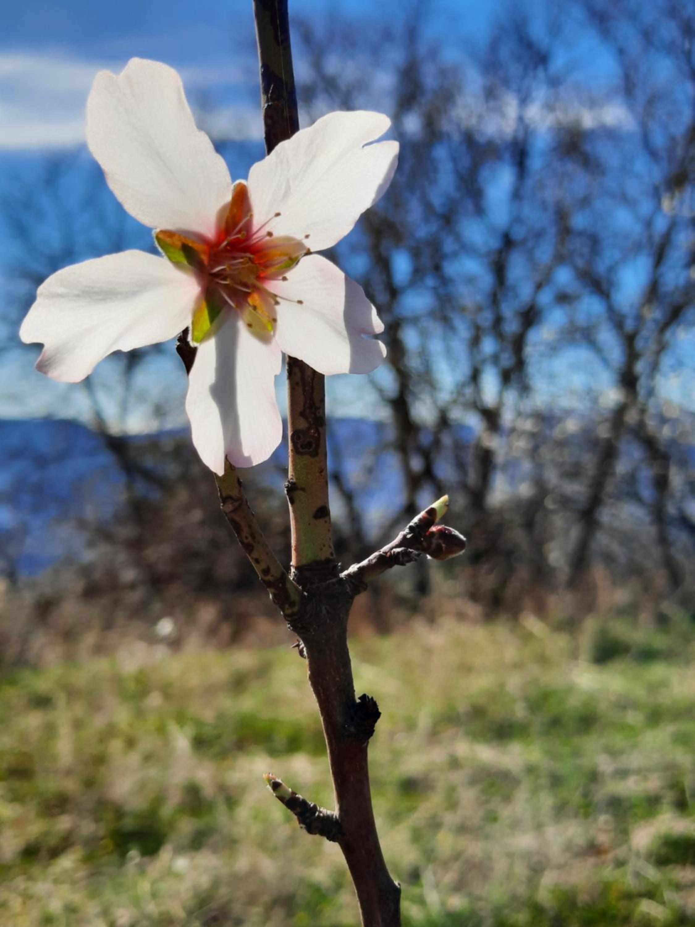 other
