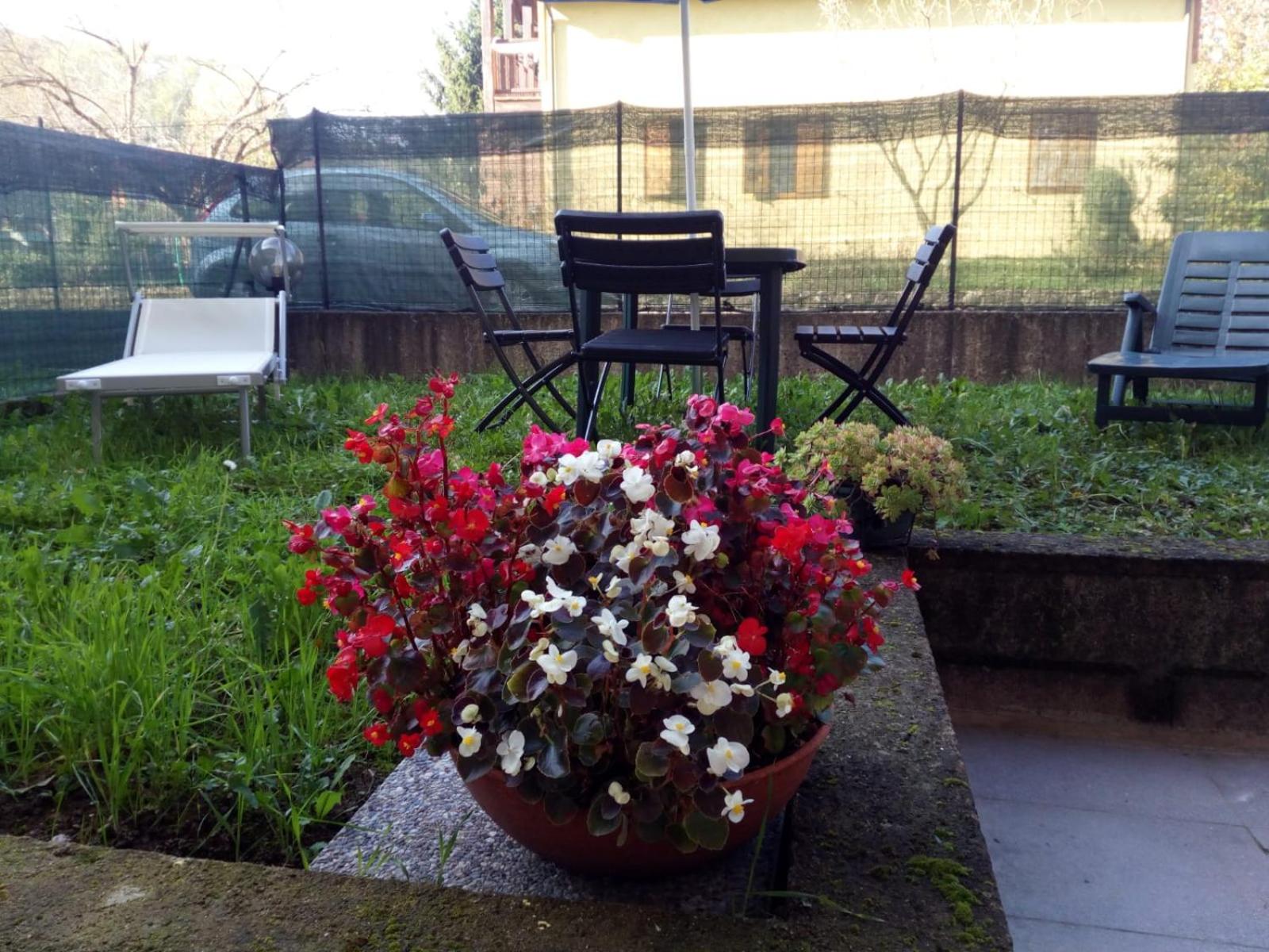 Appartamento in Toscana con Piscina e giardino view 4