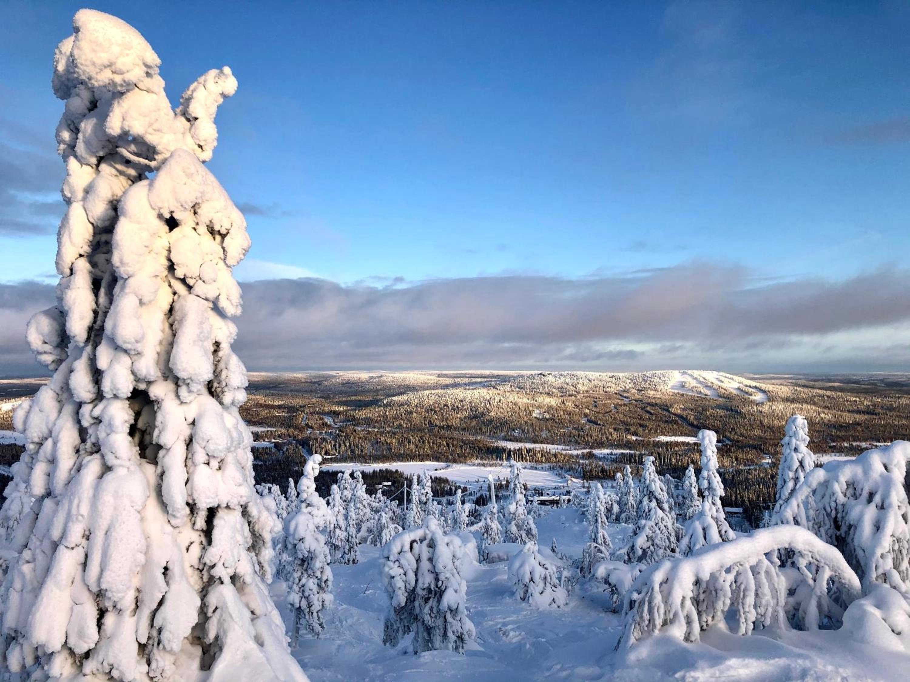 Tähtisara view 4