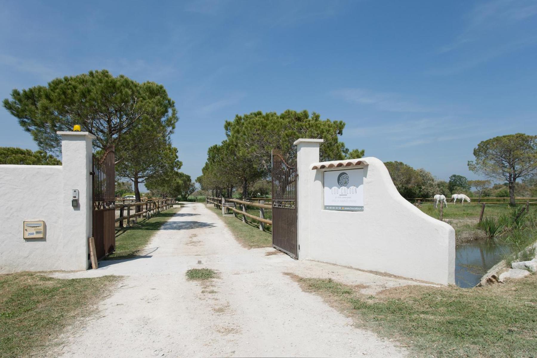 Mas Lou Caloun - Chambre d'Hôte face à la piscine en Camargue - Les Saintes Maries de la Mer photo 2